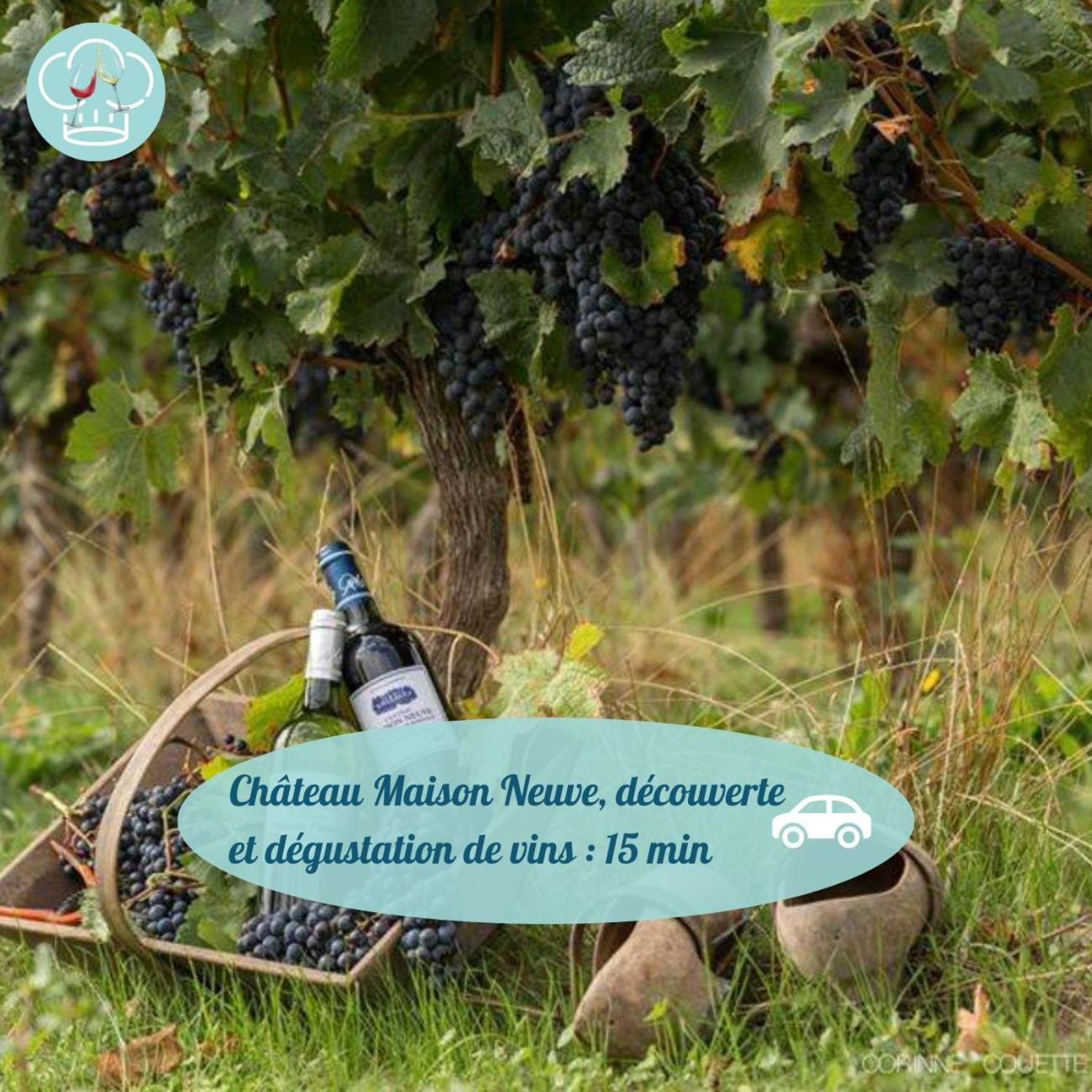 Gîte Chelona Vinifera - parc arboré - Chelona'Loc