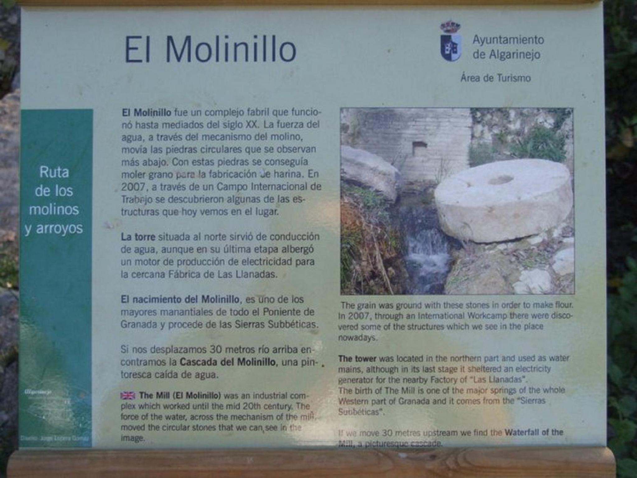 Photo 15