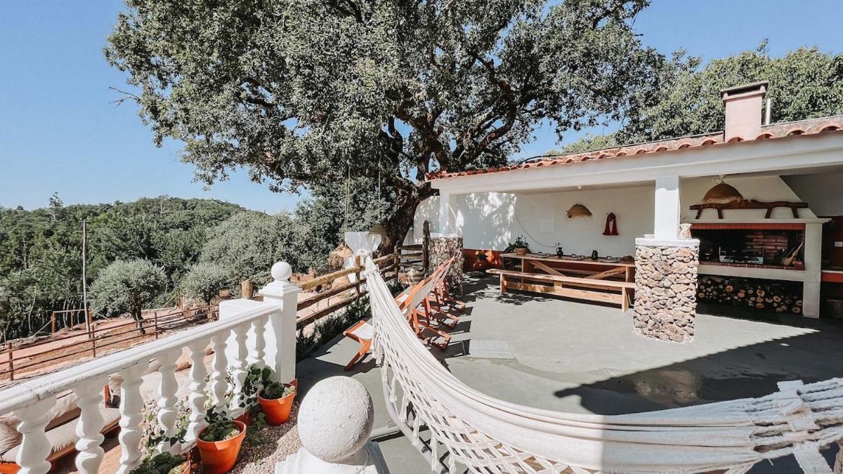 Casa Angelino