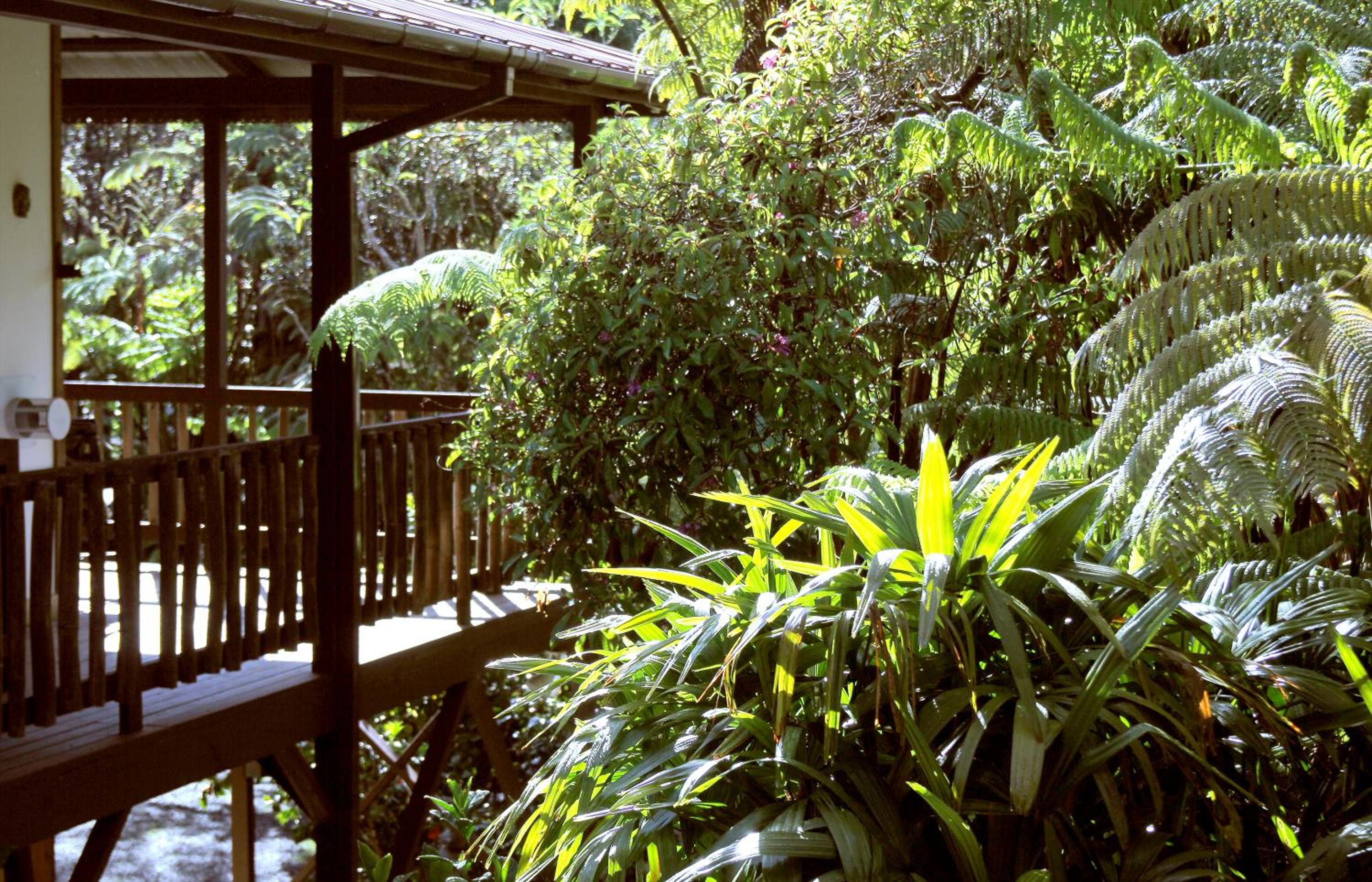 Lotus Garden Cottages view 3