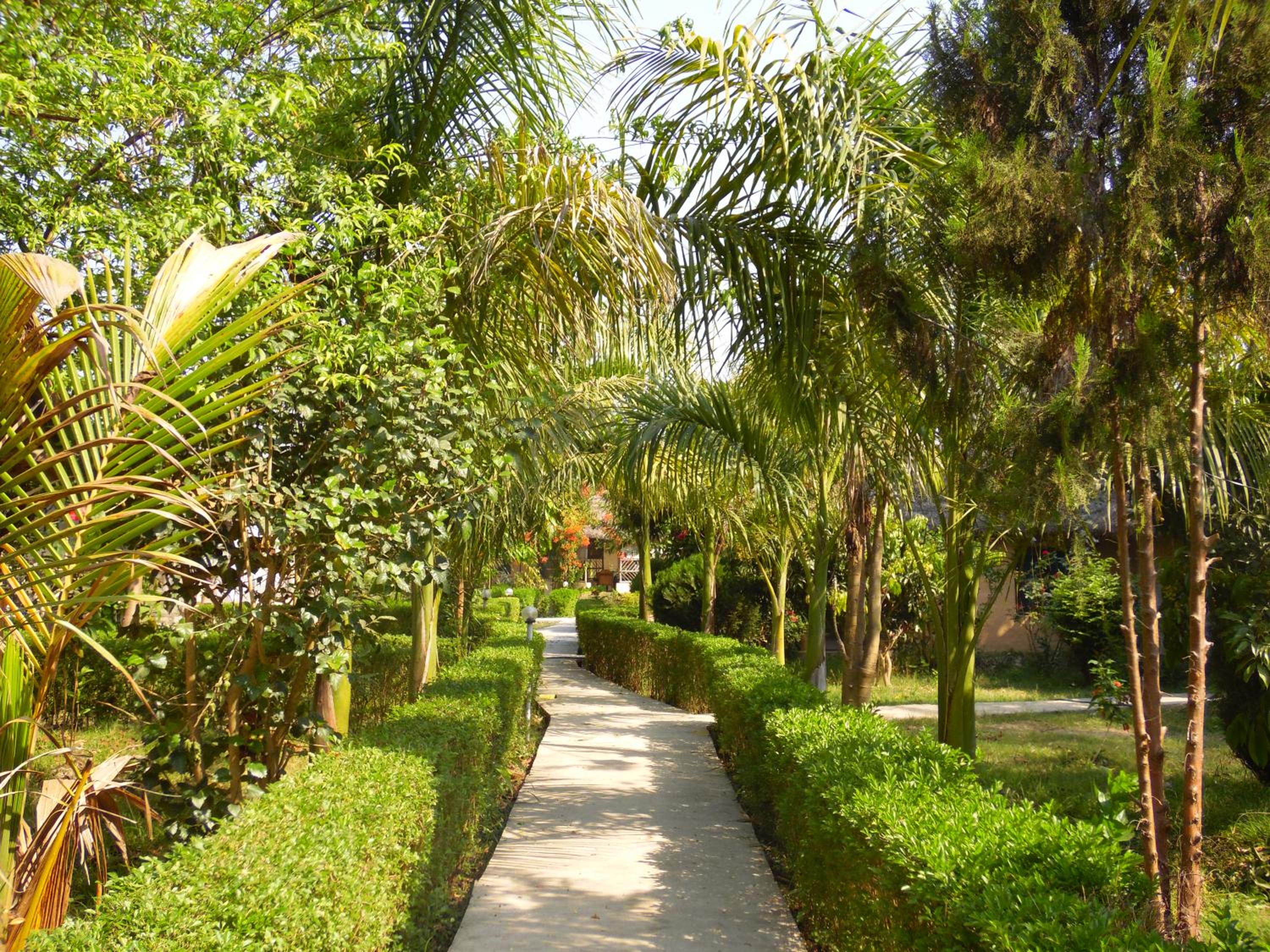 Photo 41