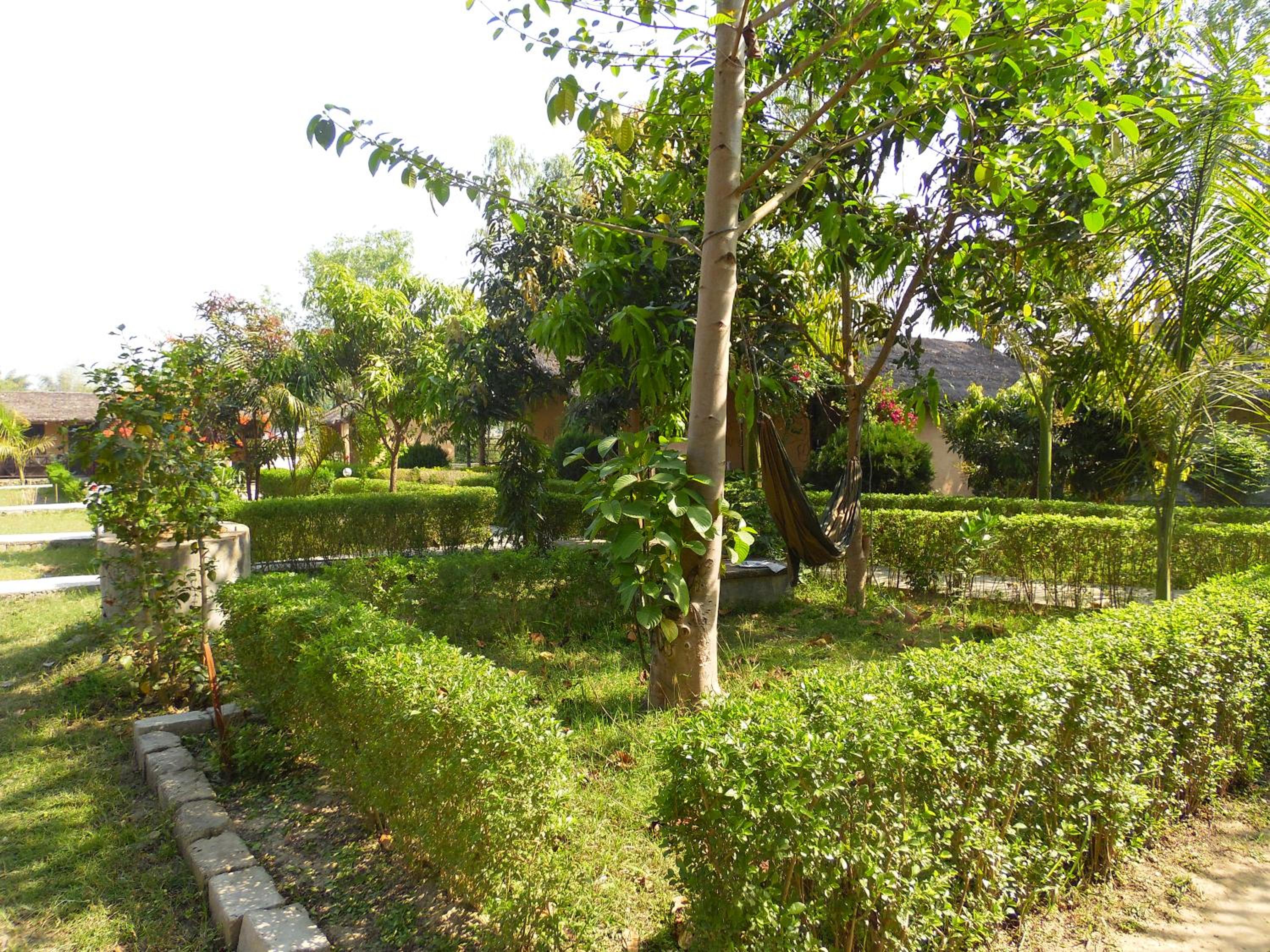 Photo 42