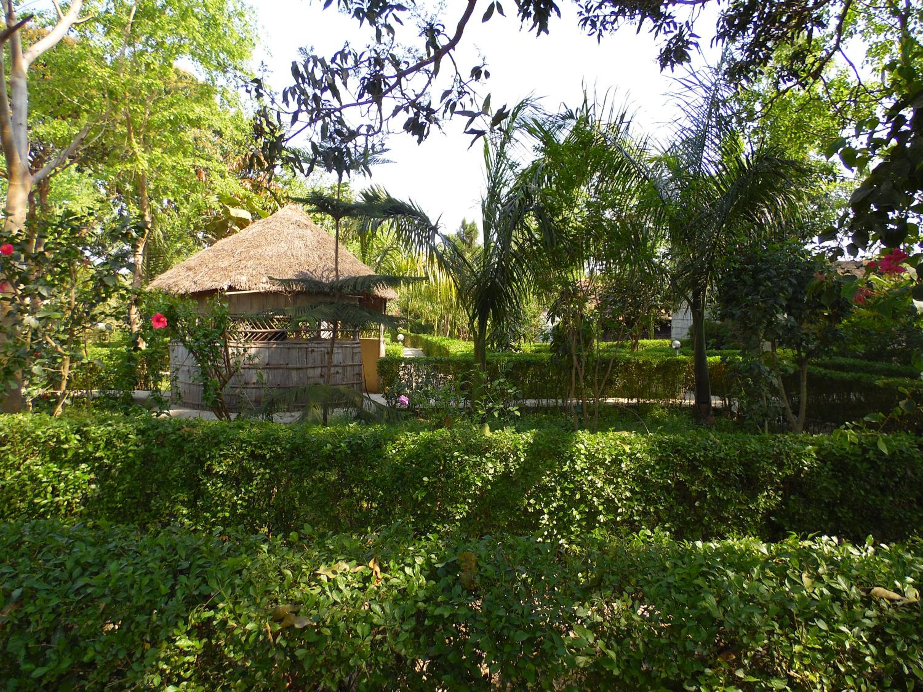 Photo 45