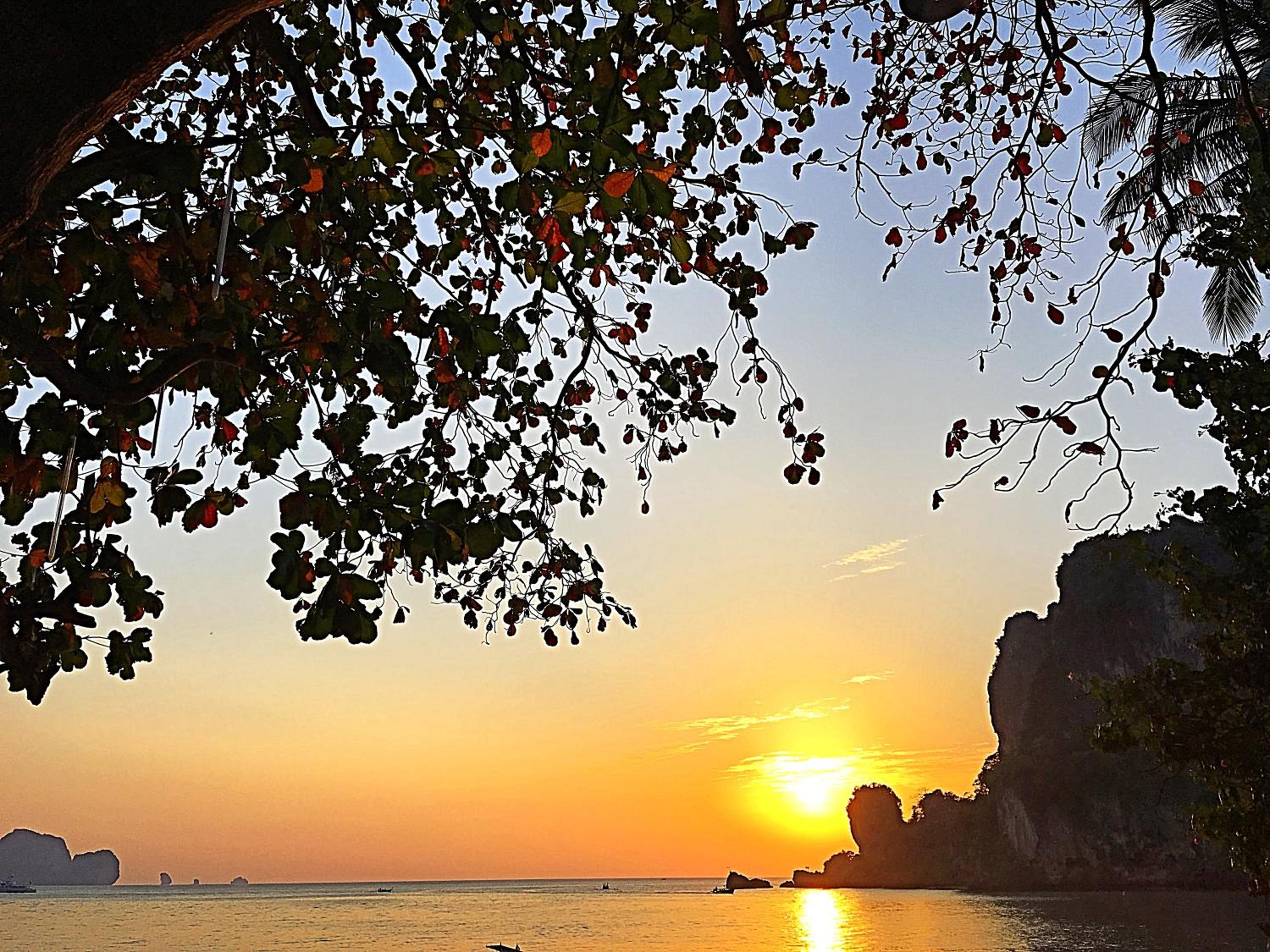 Tonsai Bay Resort