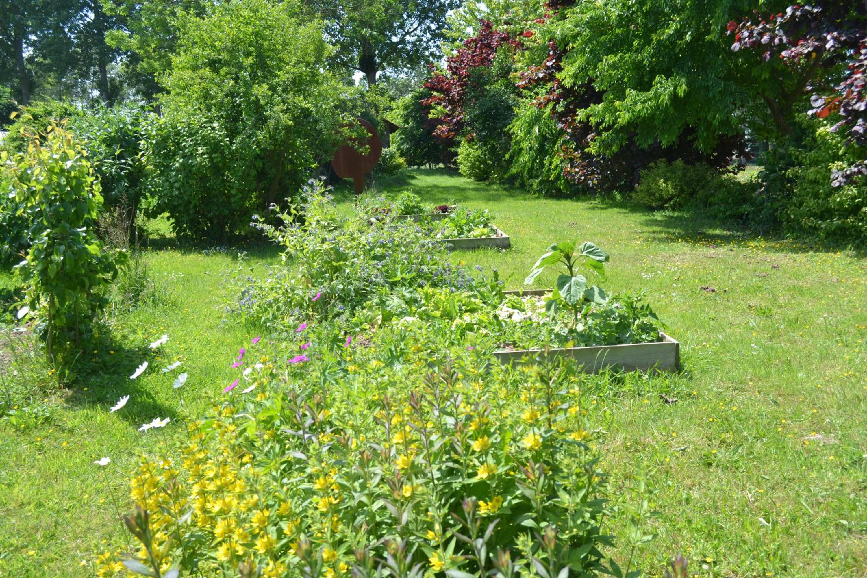 Photo 26