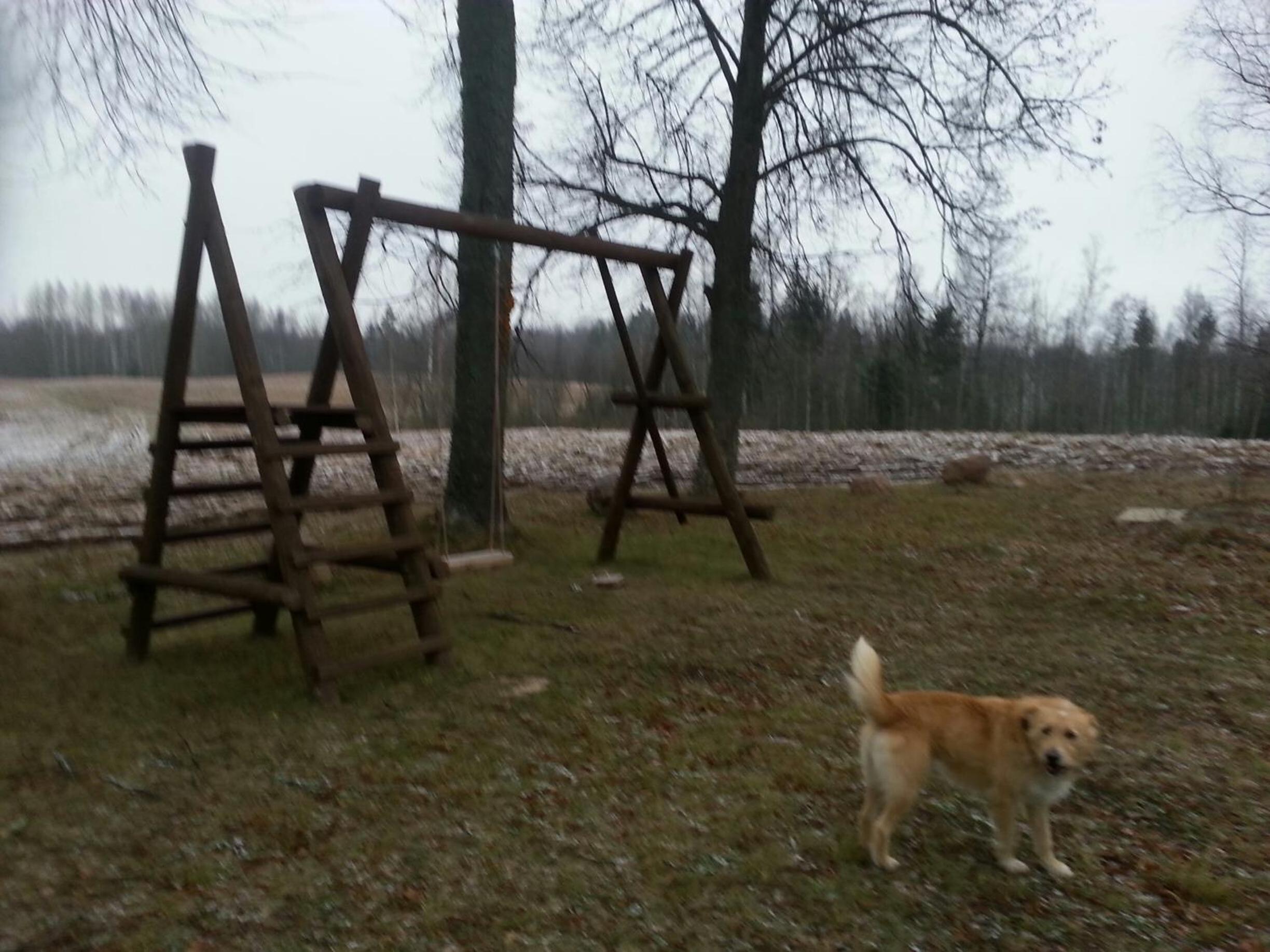 Photo 49
