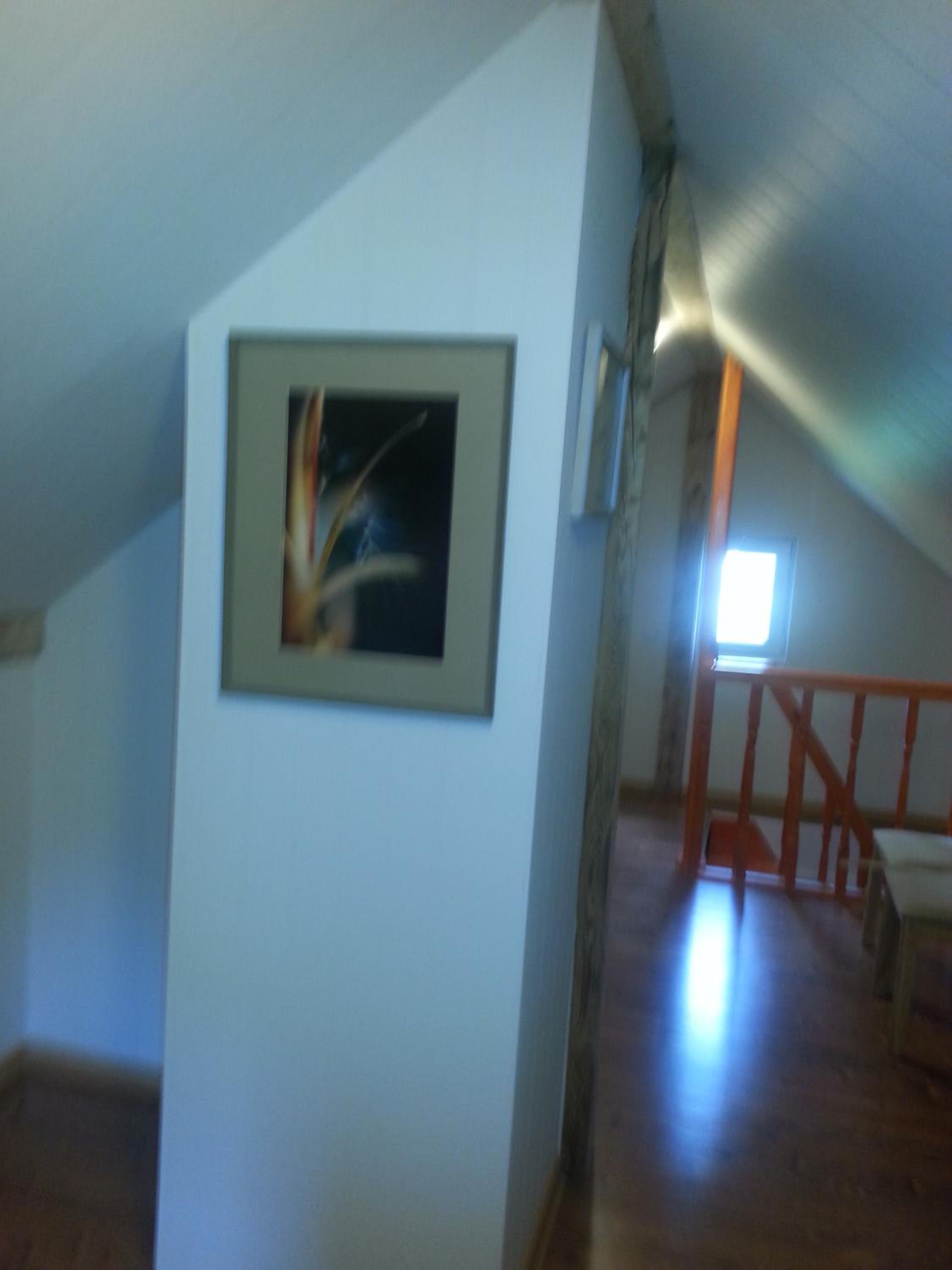 Photo 51