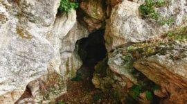 Photo 42
