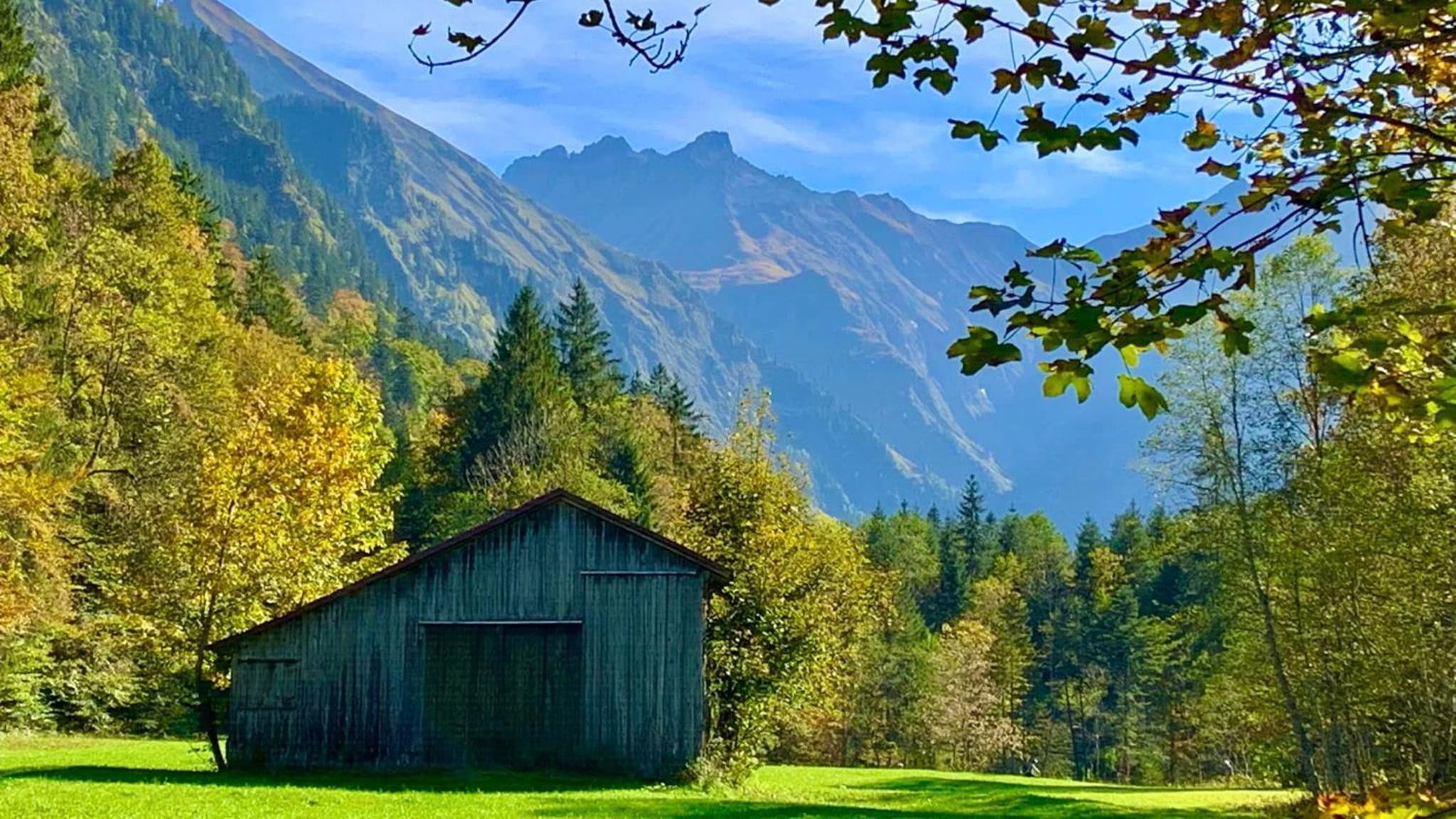 Ferienwohnung Lichtblick