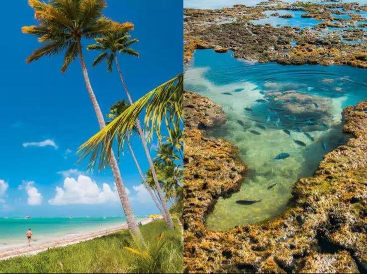 Flat Brisa Studio Premium,Porto De Galinhas