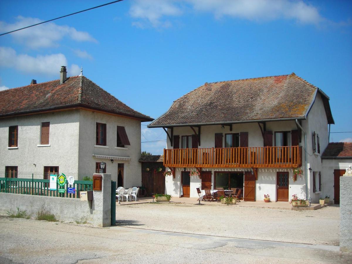 Photo 44
