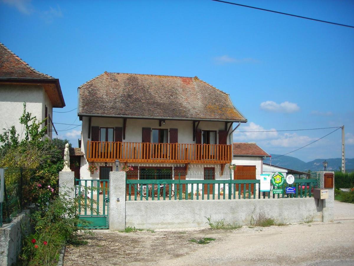 Photo 45