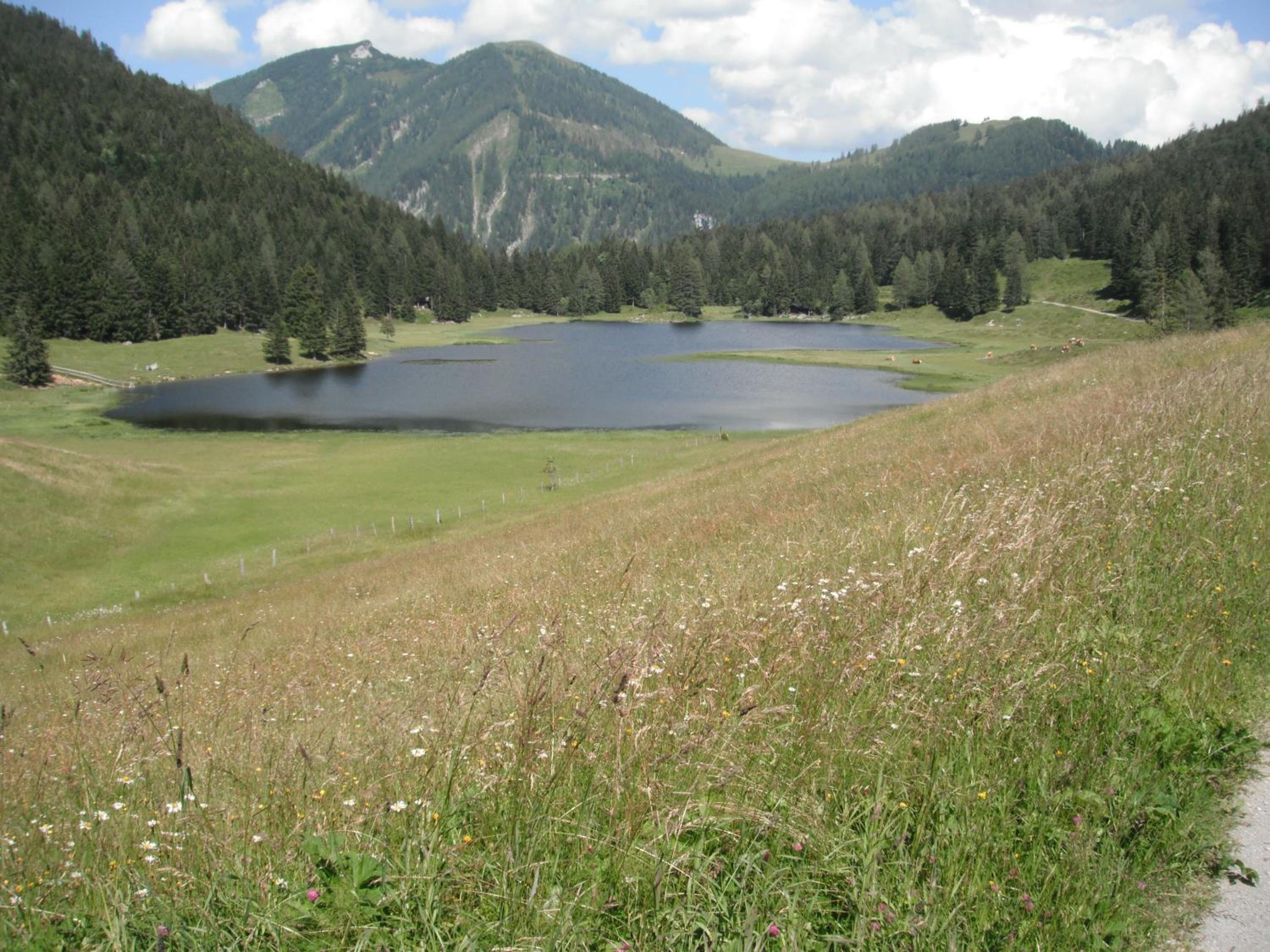 Photo 30