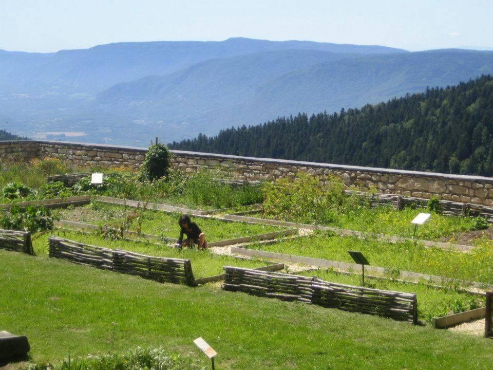 VALRELEY, chambres et table d'hôtes eco-friendly avec bain nordique au sud du massif du Jura