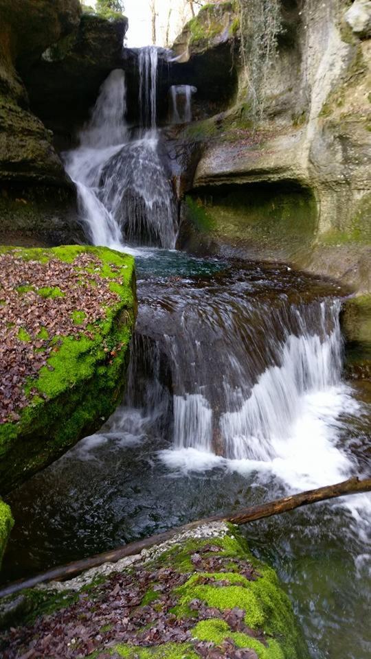 VALRELEY, chambres et table d'hôtes eco-friendly avec bain nordique au sud du massif du Jura