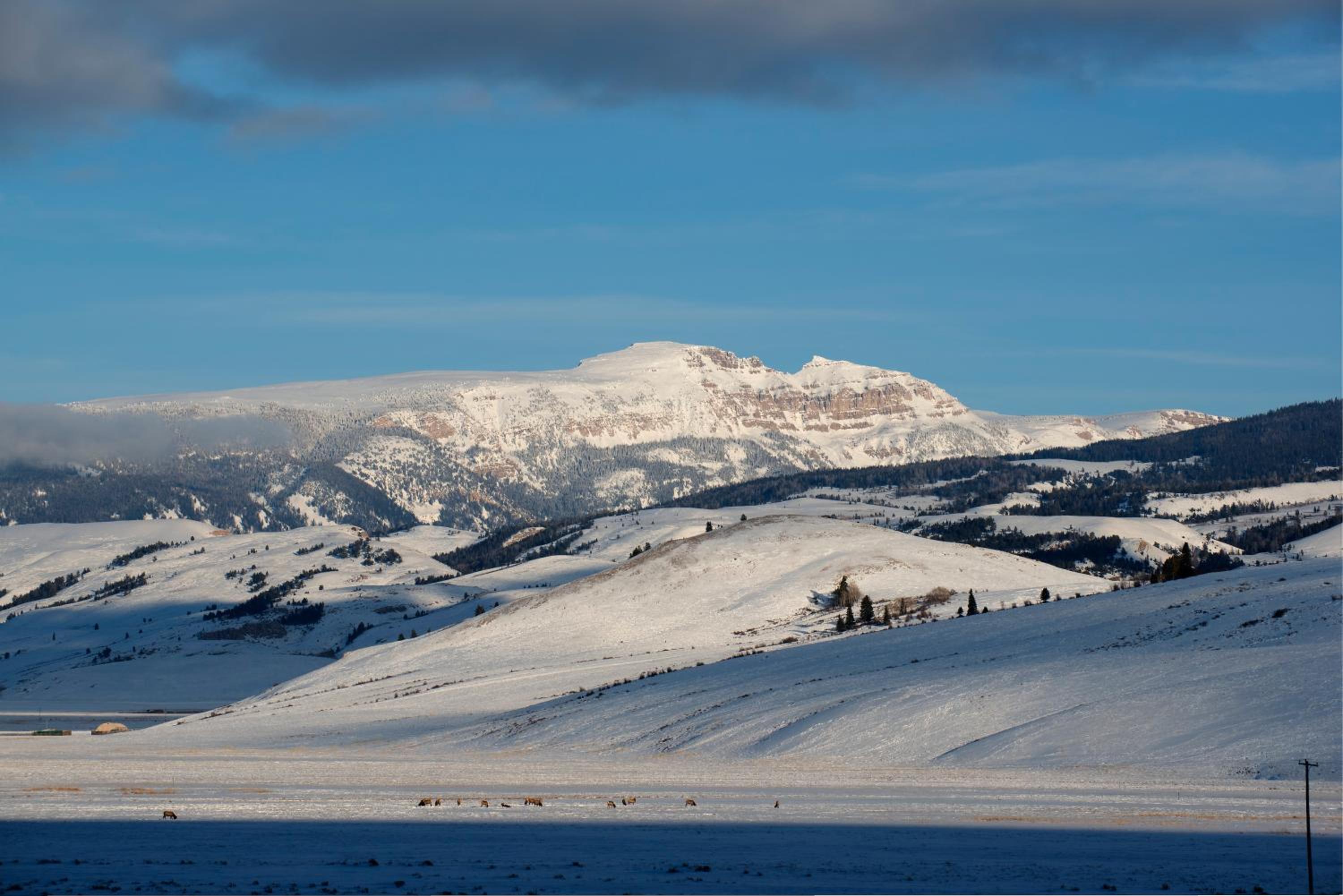Elk Refuge Inn