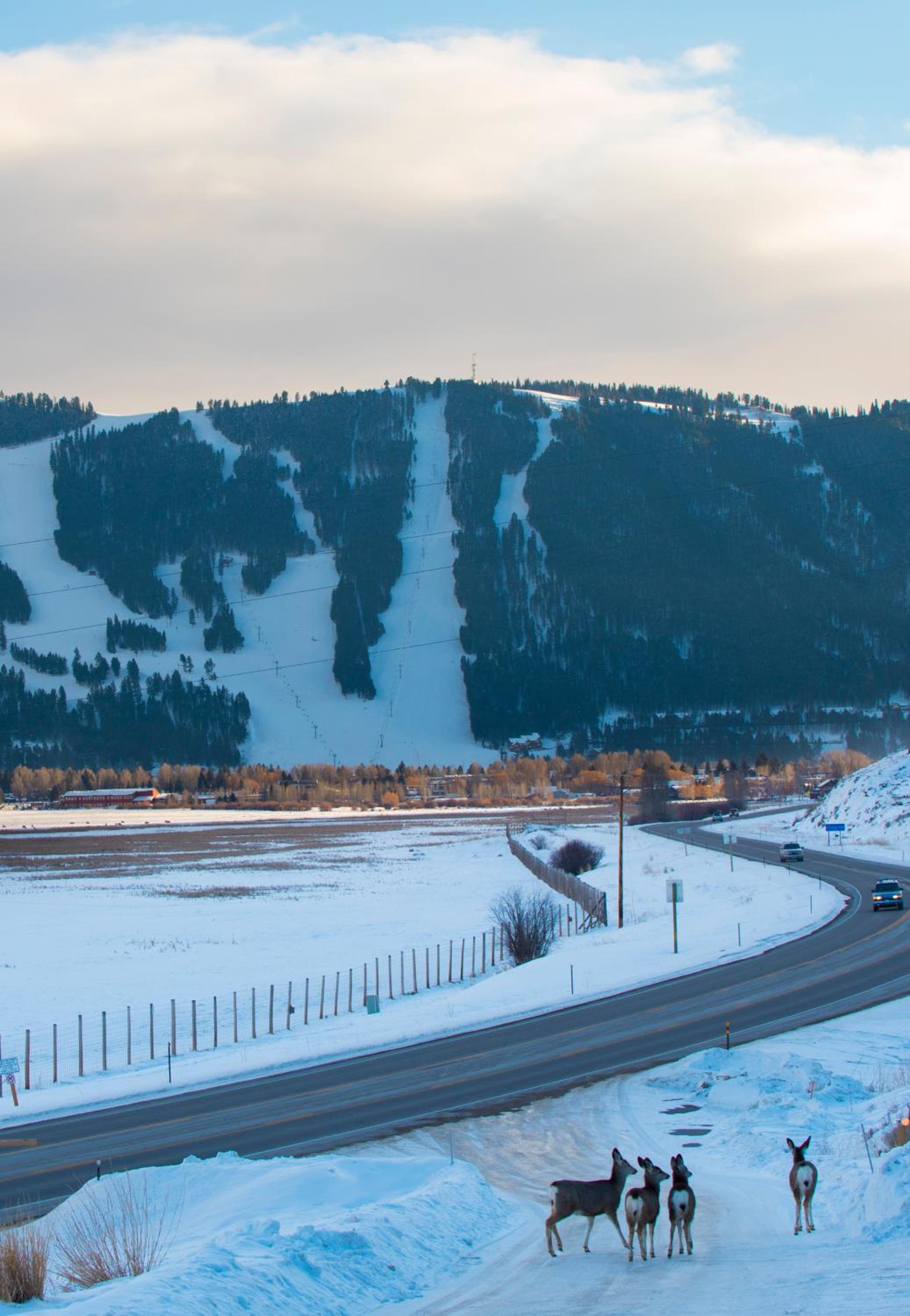 Elk Refuge Inn
