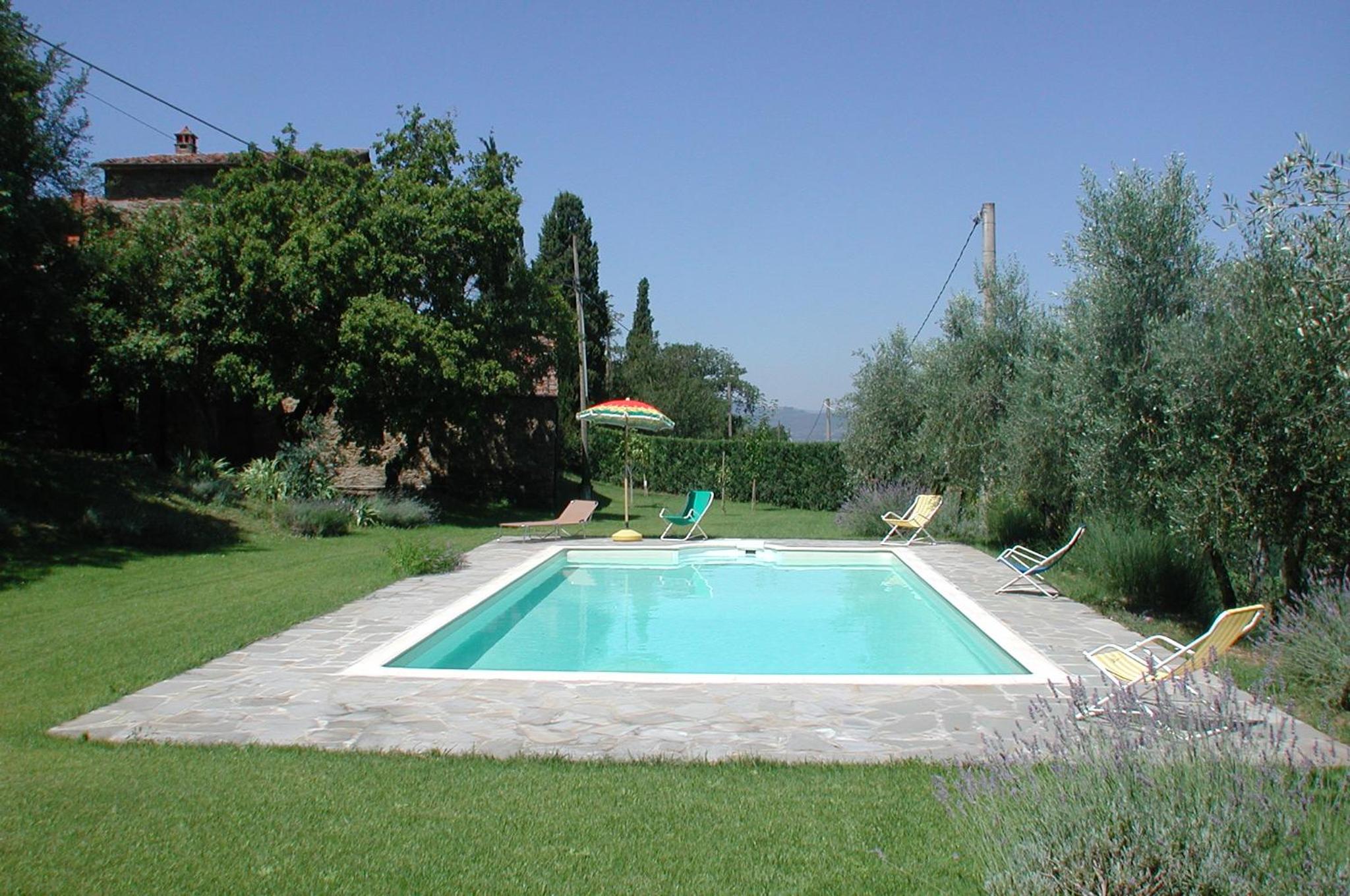 Olivo