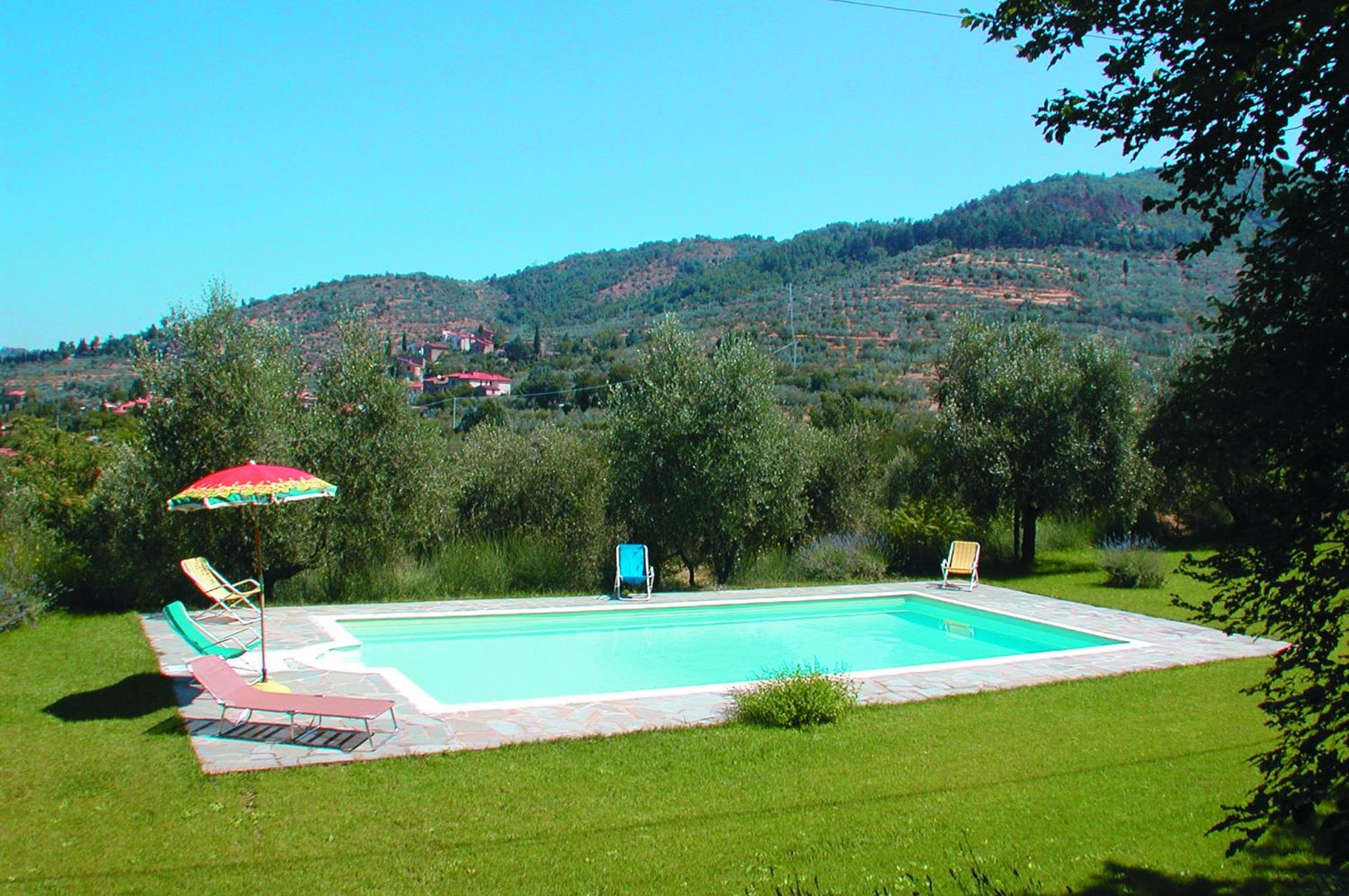Olivo