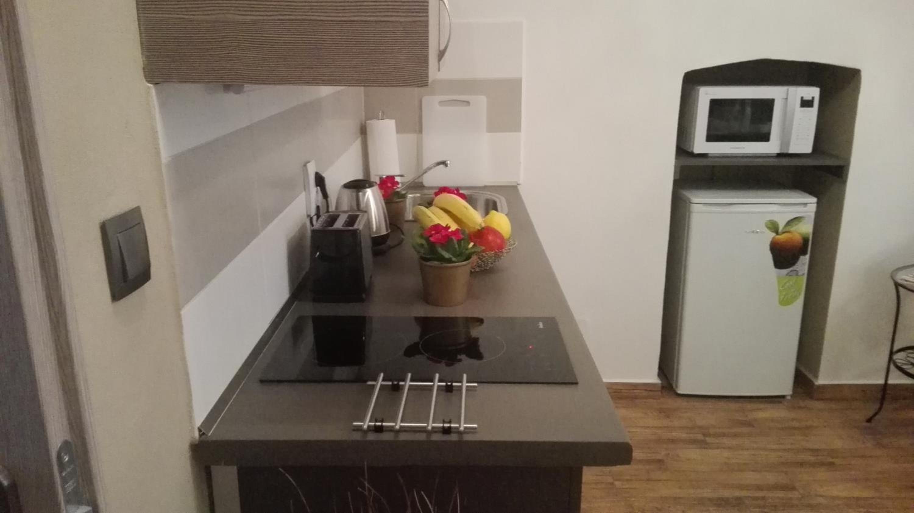 Apartment Jakubská 676