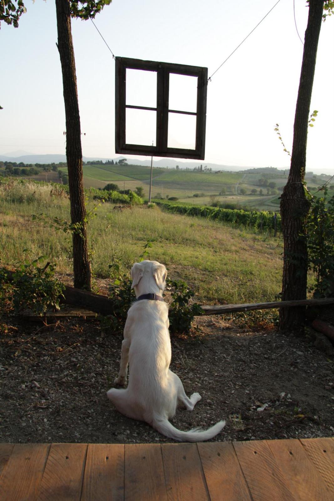 Agriturismo La Terra