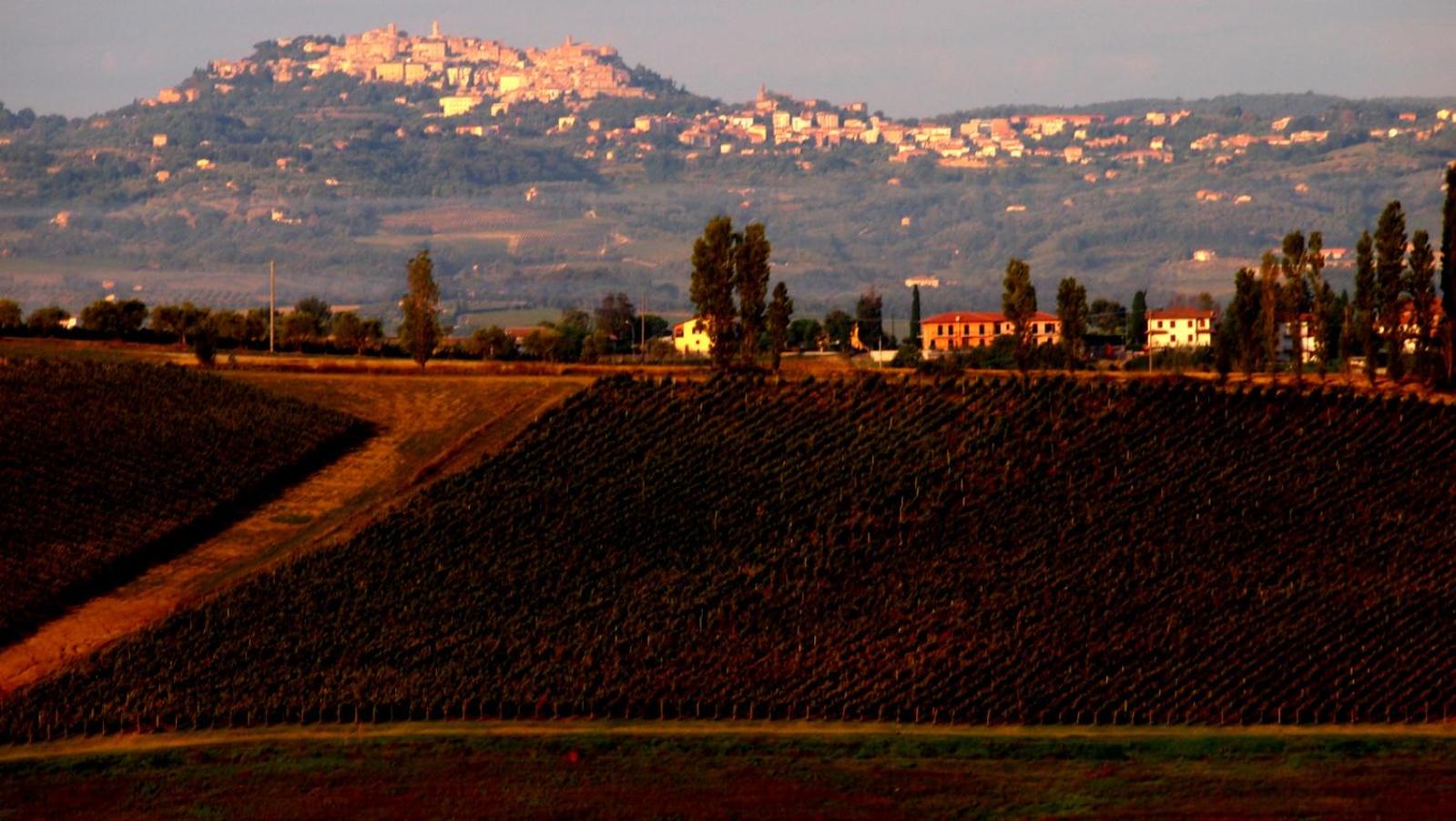 Agriturismo La Terra
