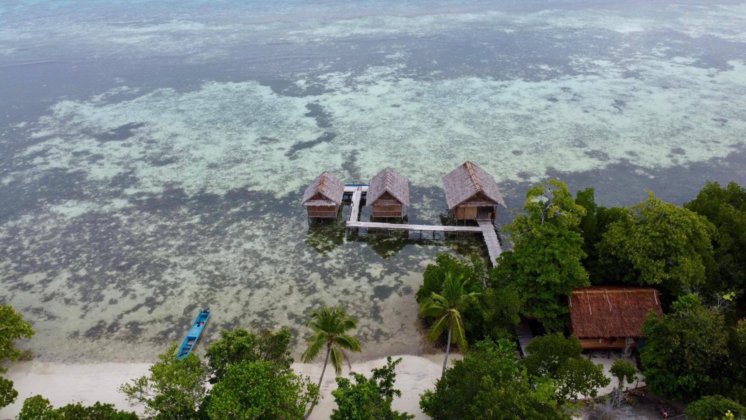 Senjahomestayrajaampat