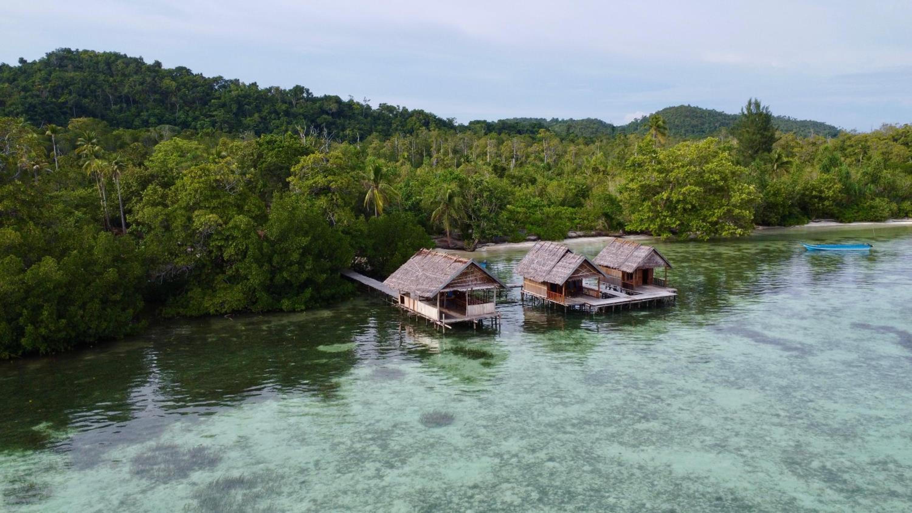 Senjahomestayrajaampat