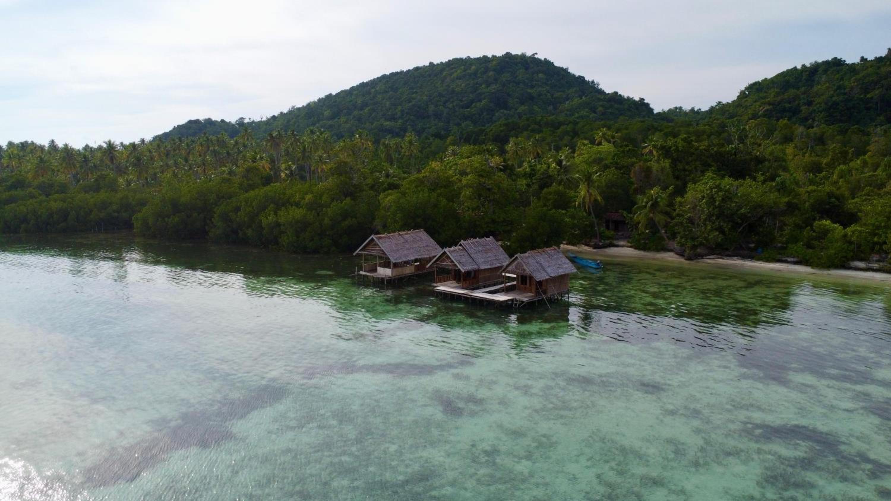 Senjahomestayrajaampat