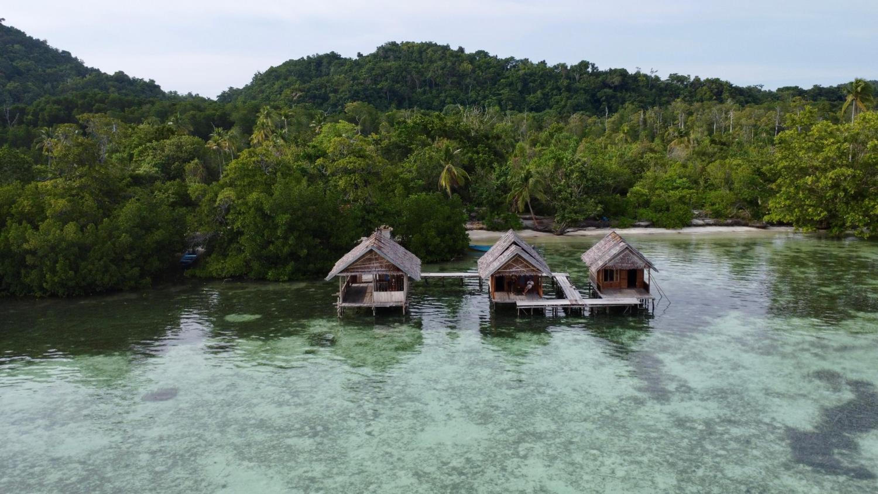 Senjahomestayrajaampat