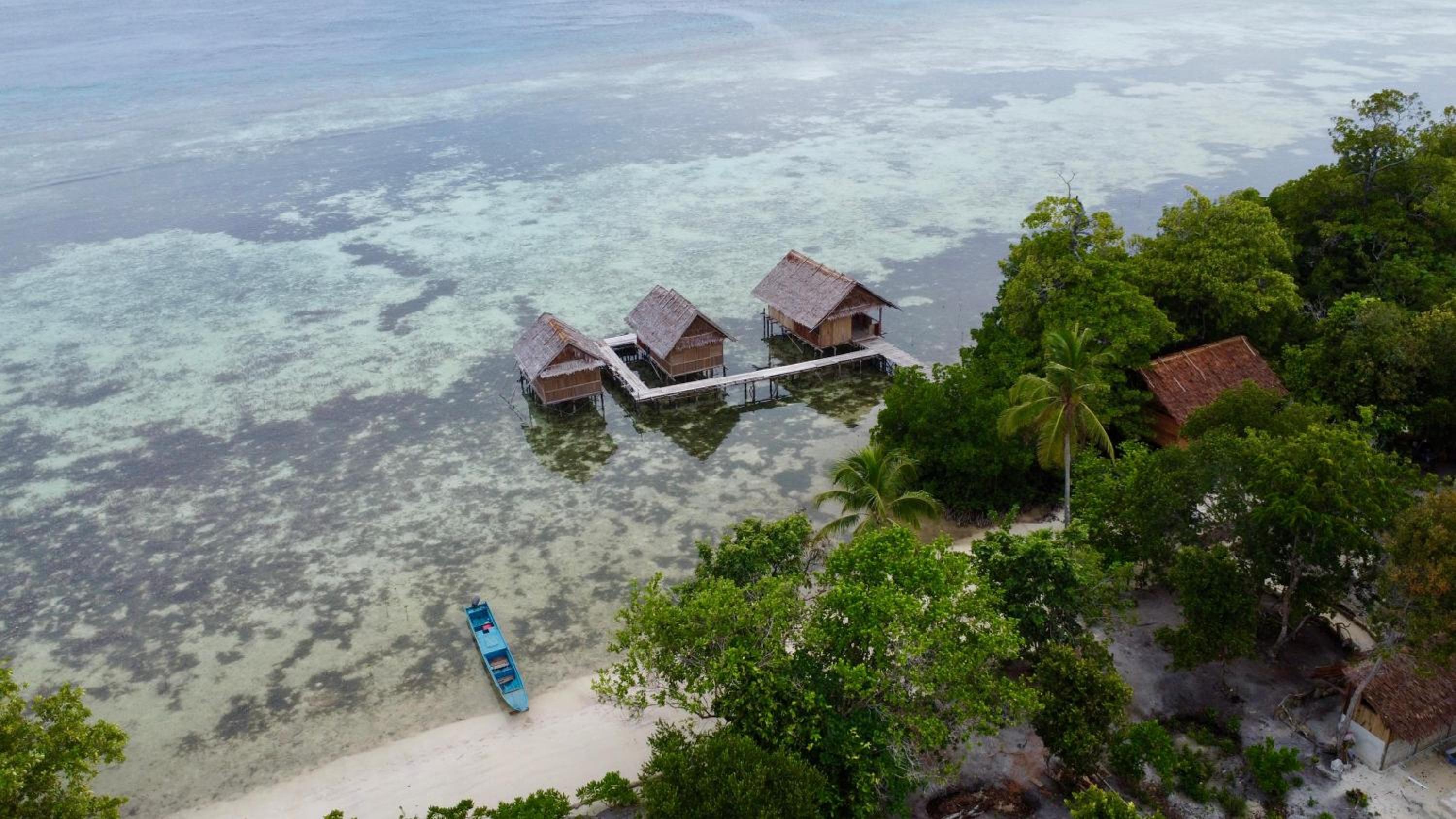 Senjahomestayrajaampat