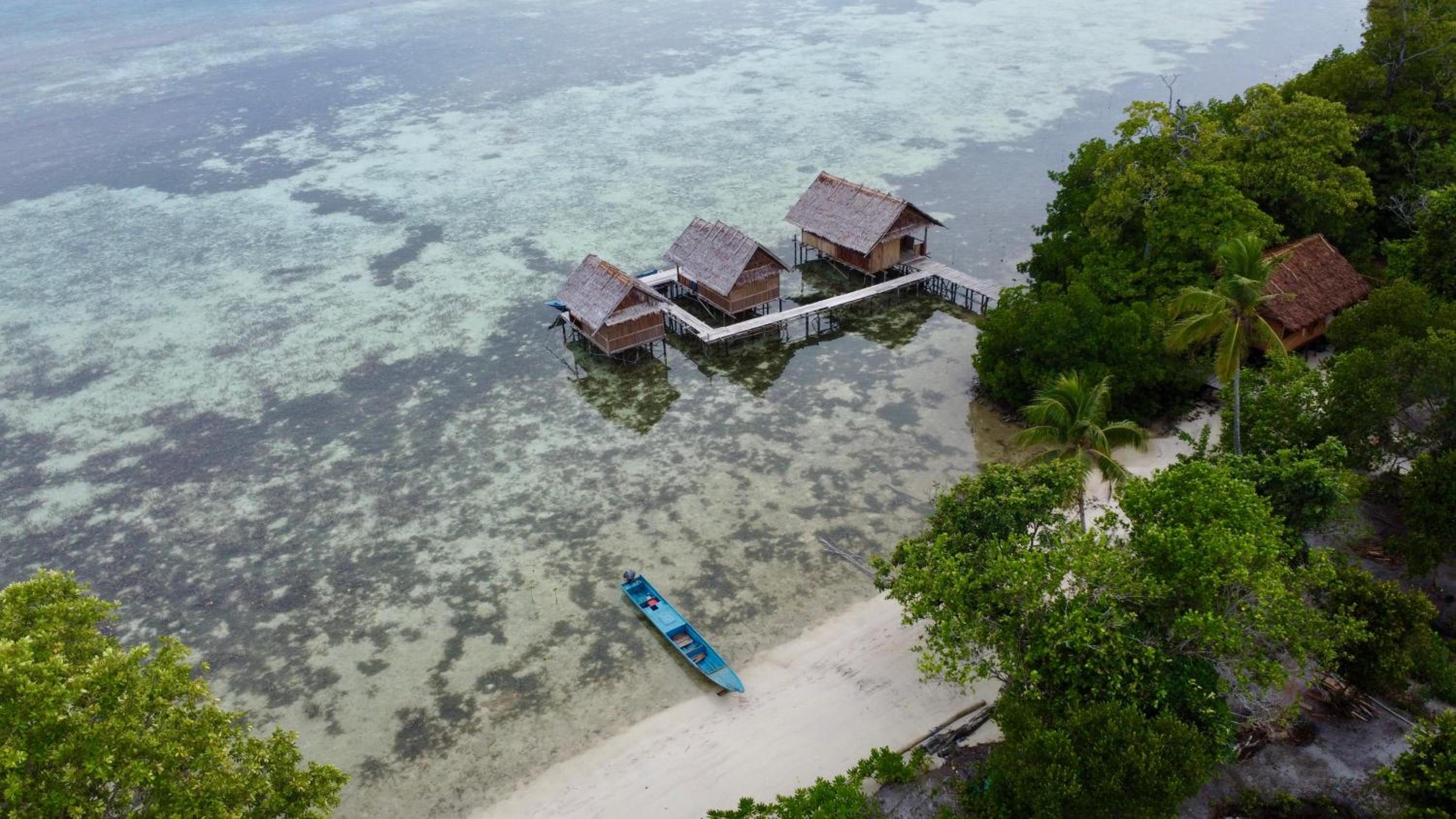 Senjahomestayrajaampat