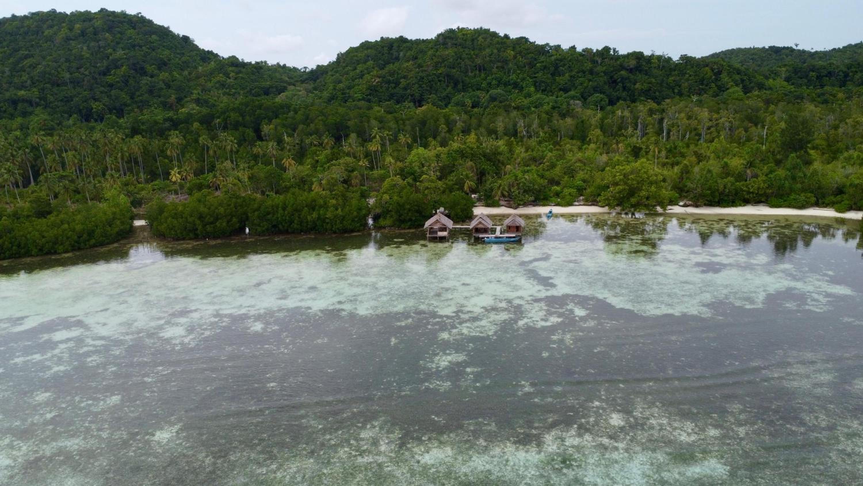 Senjahomestayrajaampat