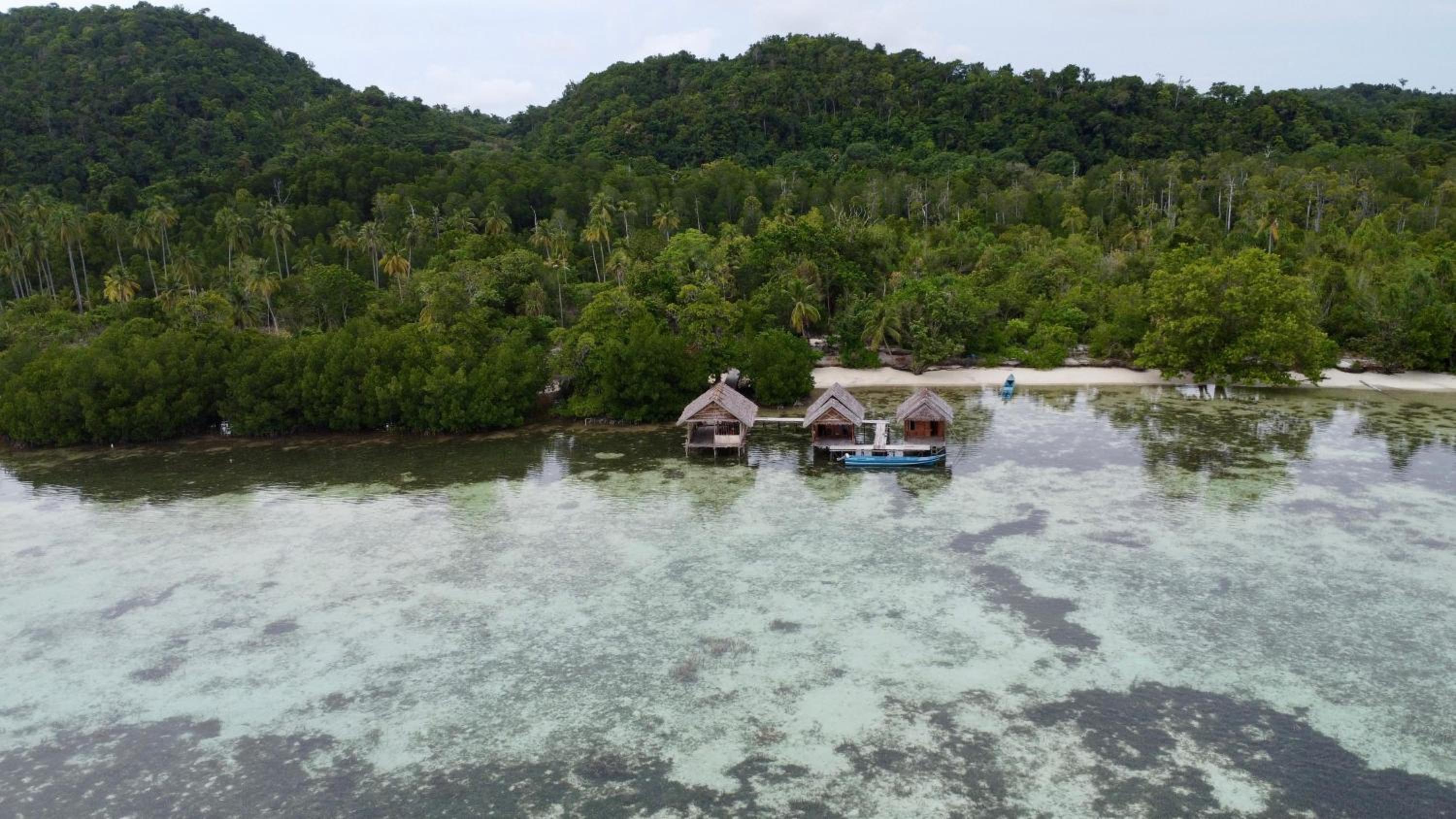 Senjahomestayrajaampat
