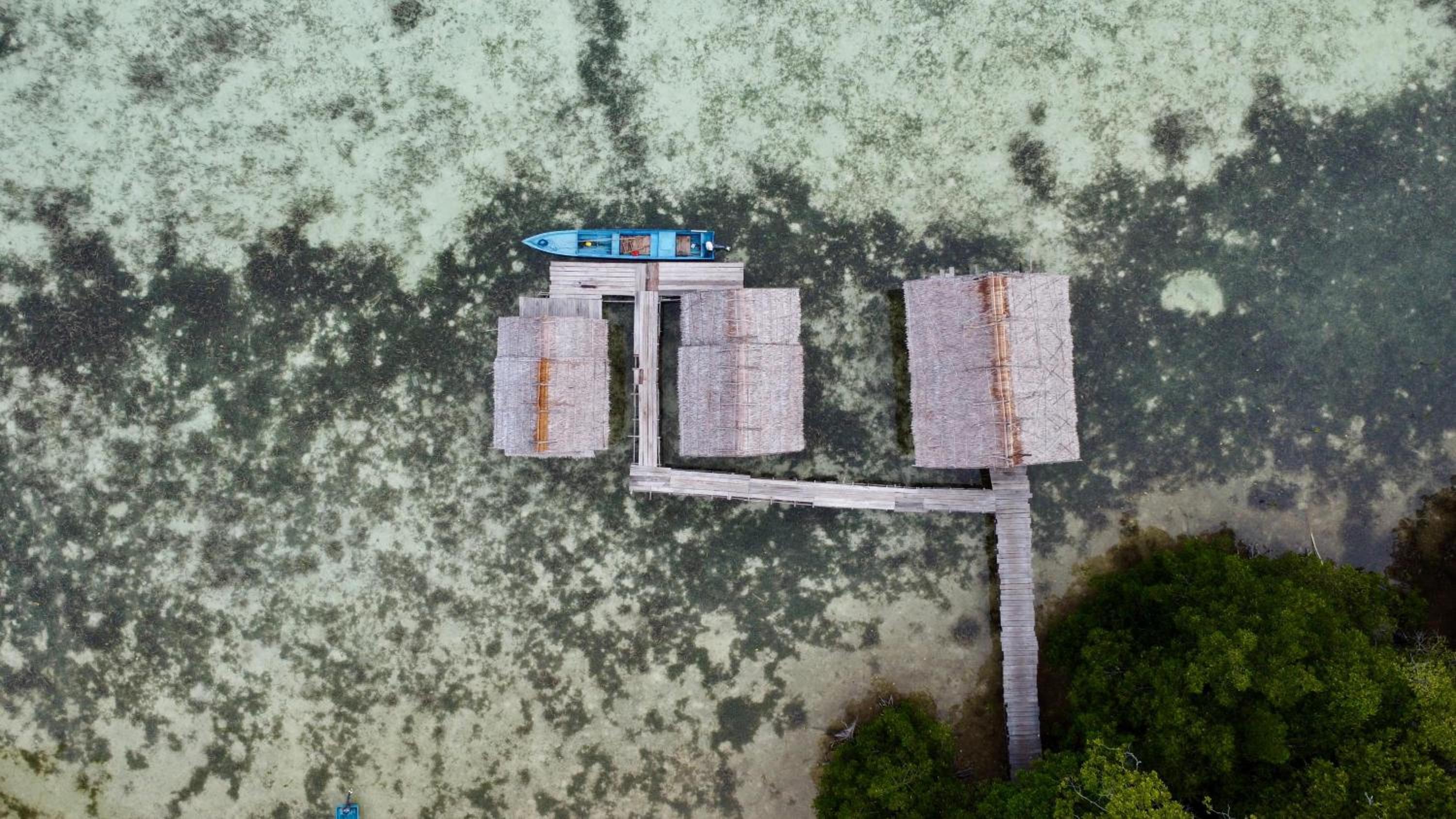 Senjahomestayrajaampat