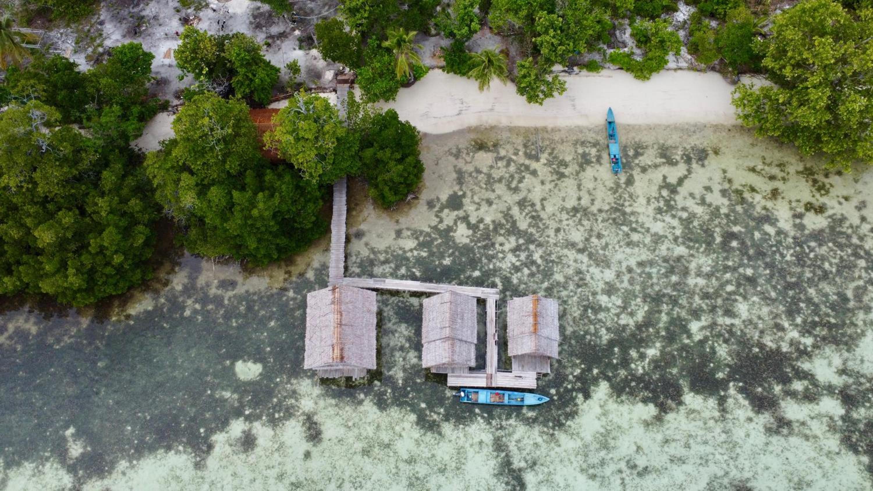 Senjahomestayrajaampat