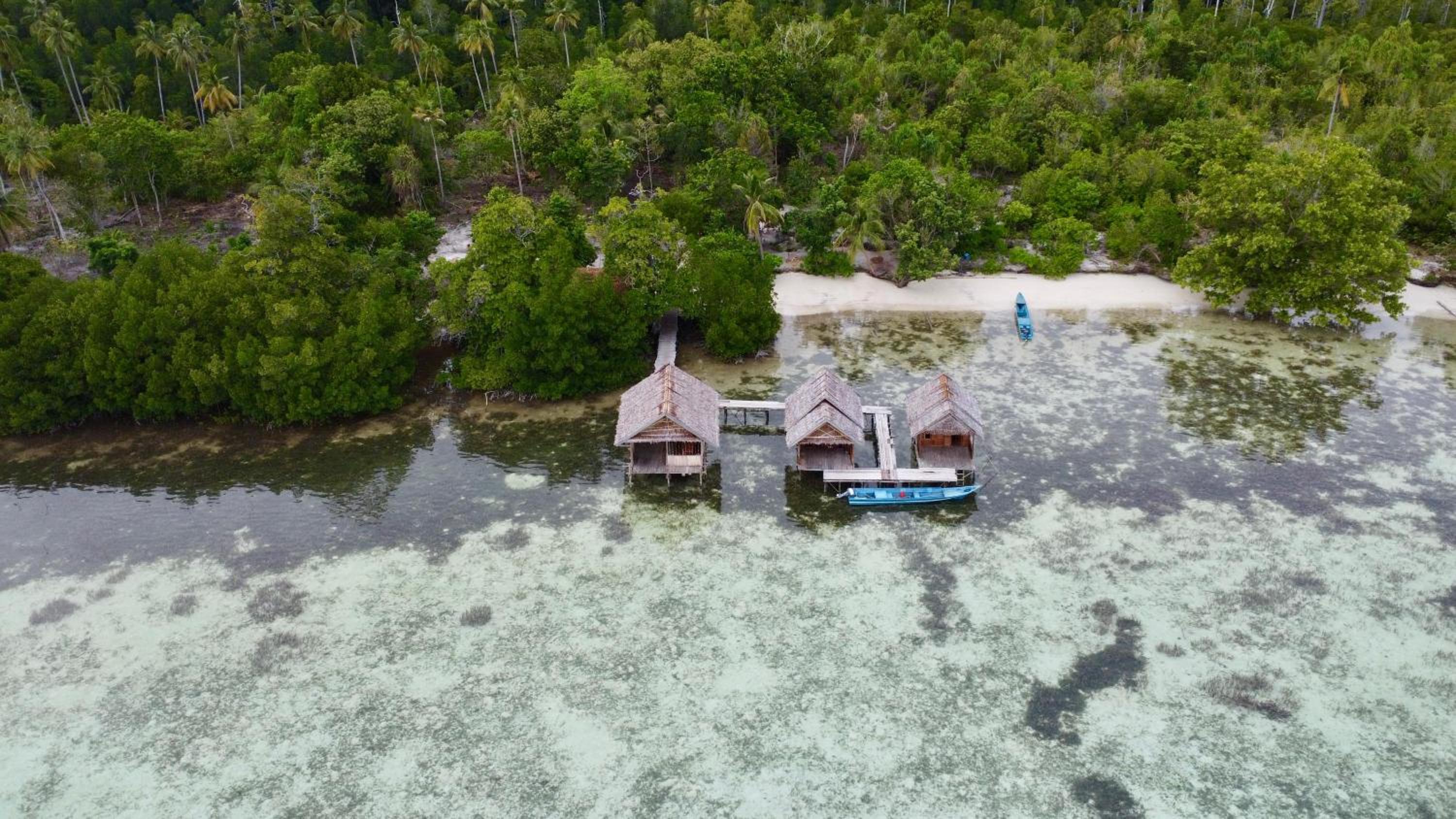 Senjahomestayrajaampat