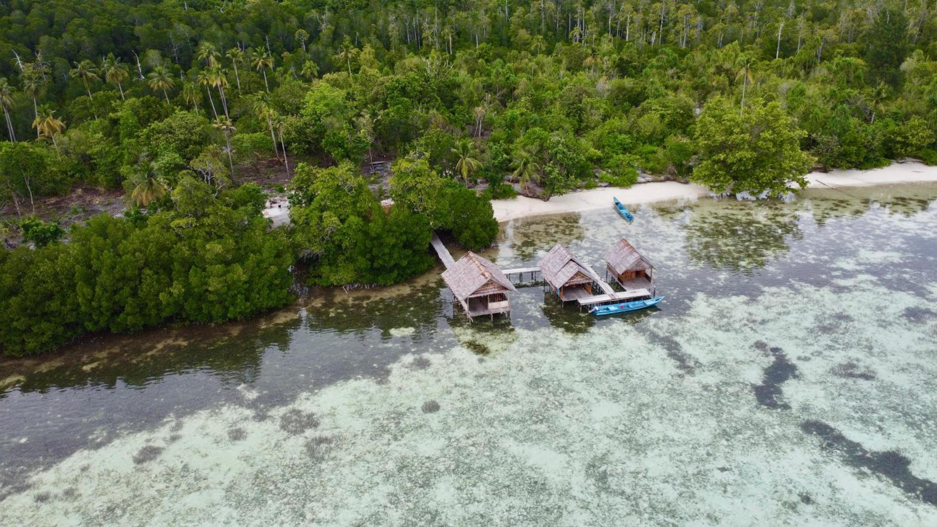 Senjahomestayrajaampat