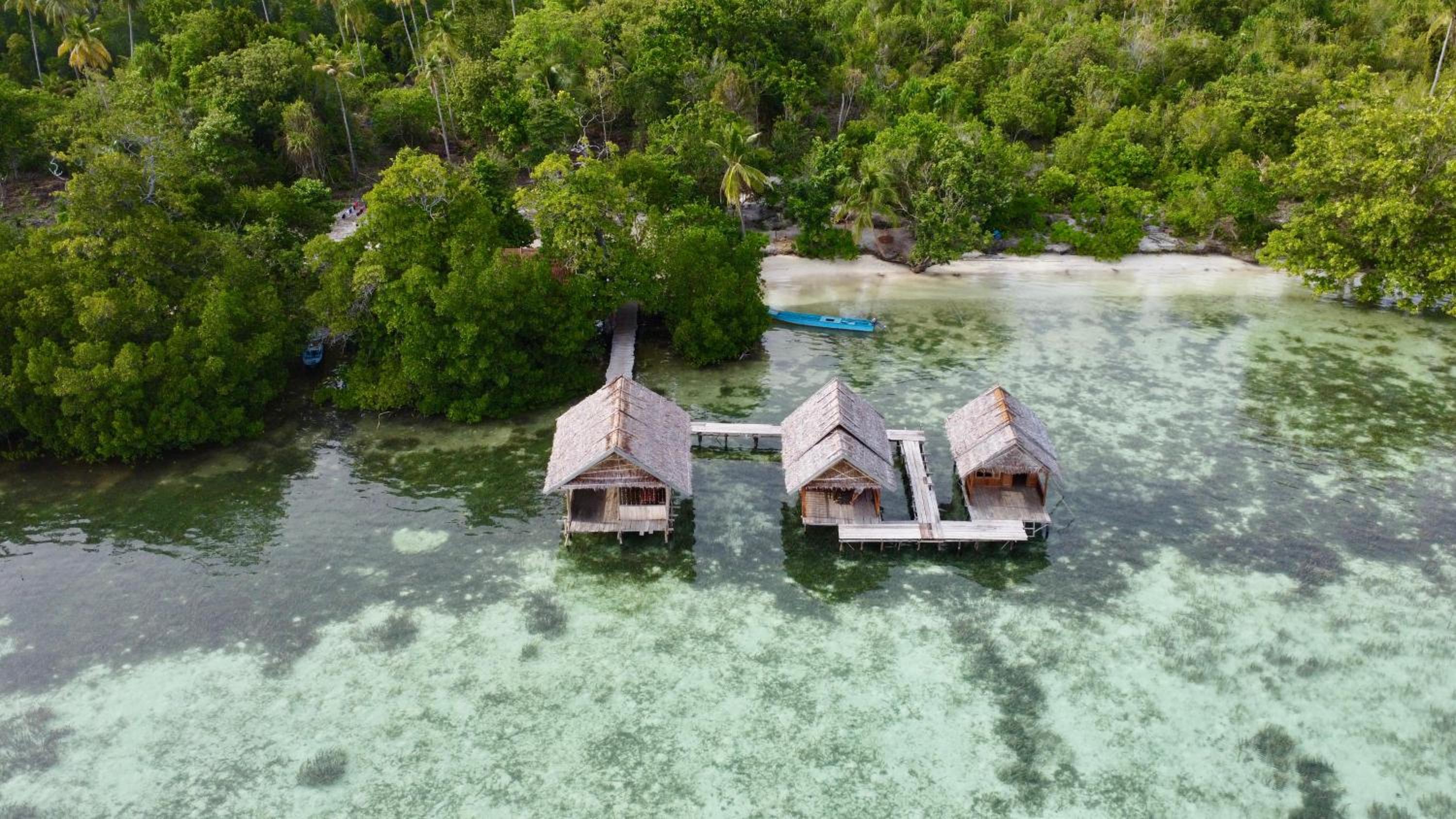 Senjahomestayrajaampat