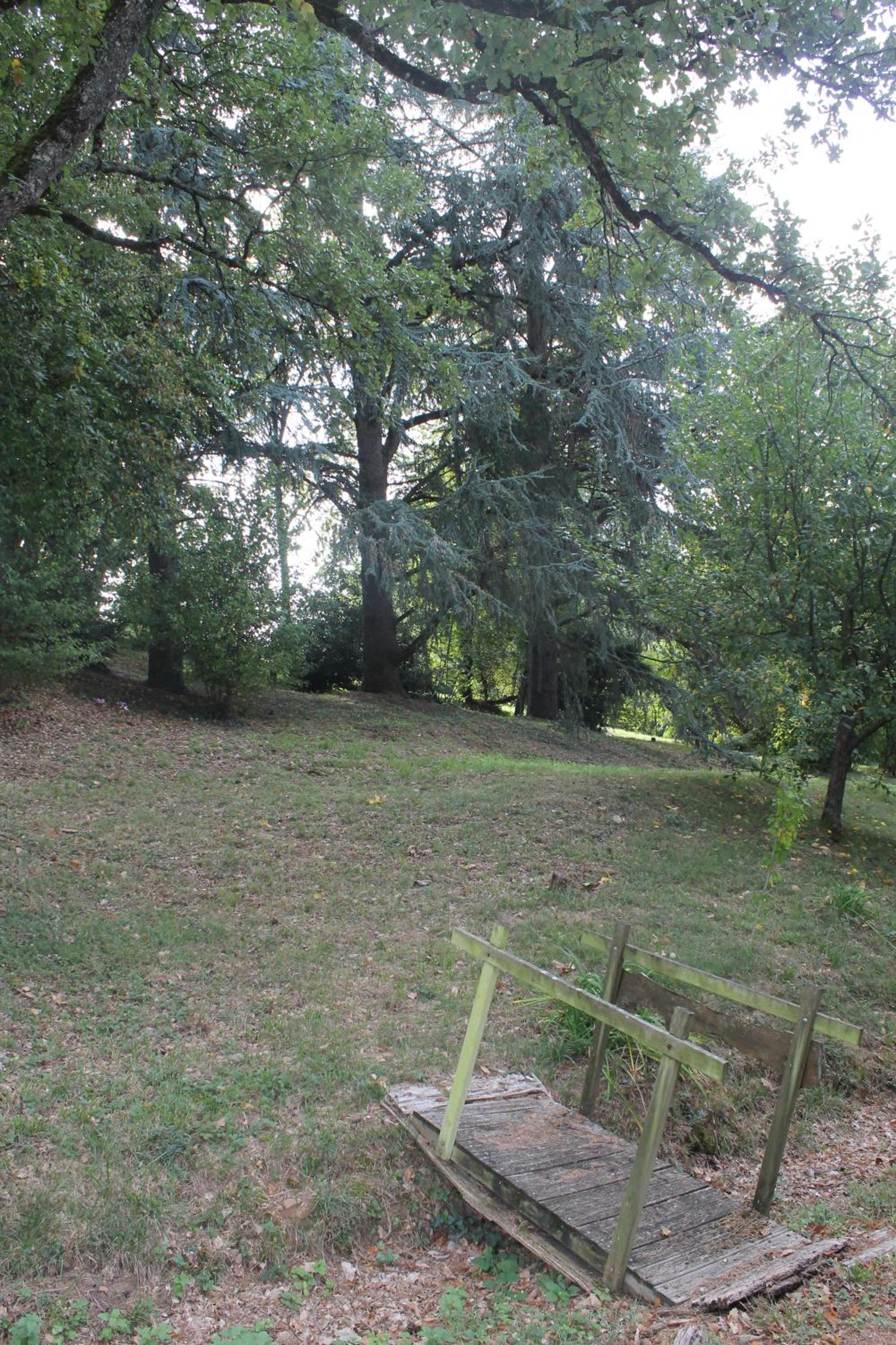 Photo 25