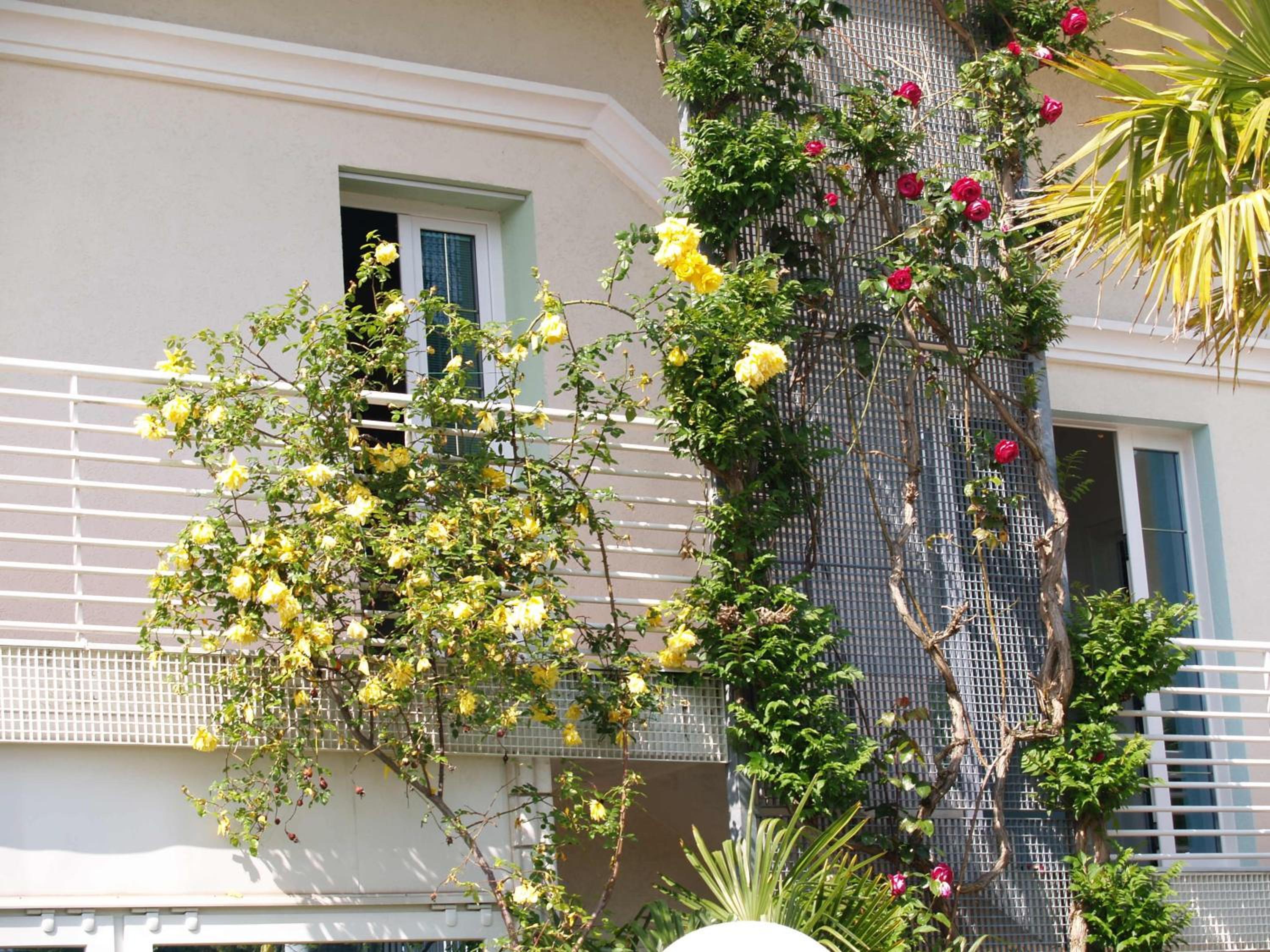 Residenza ZACCOLO