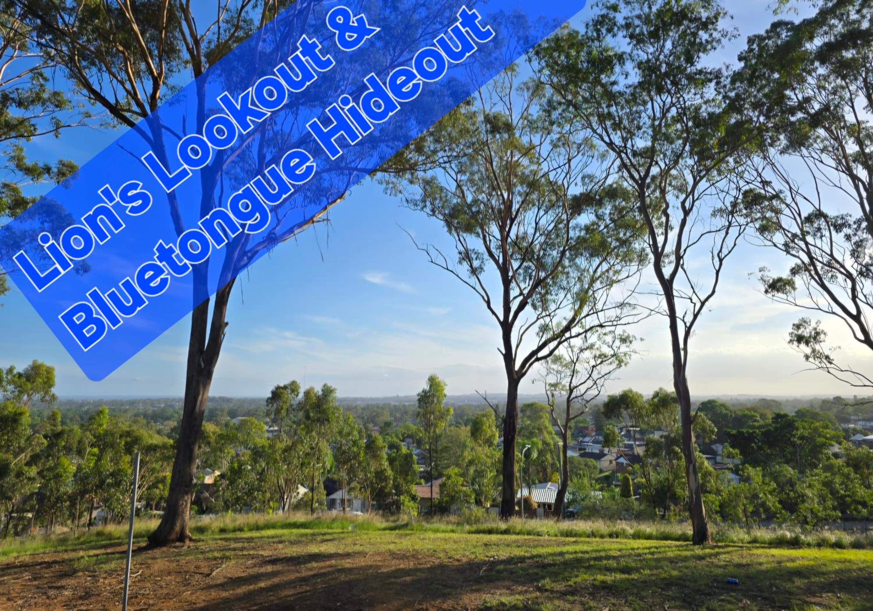 Bluetongue Hideout