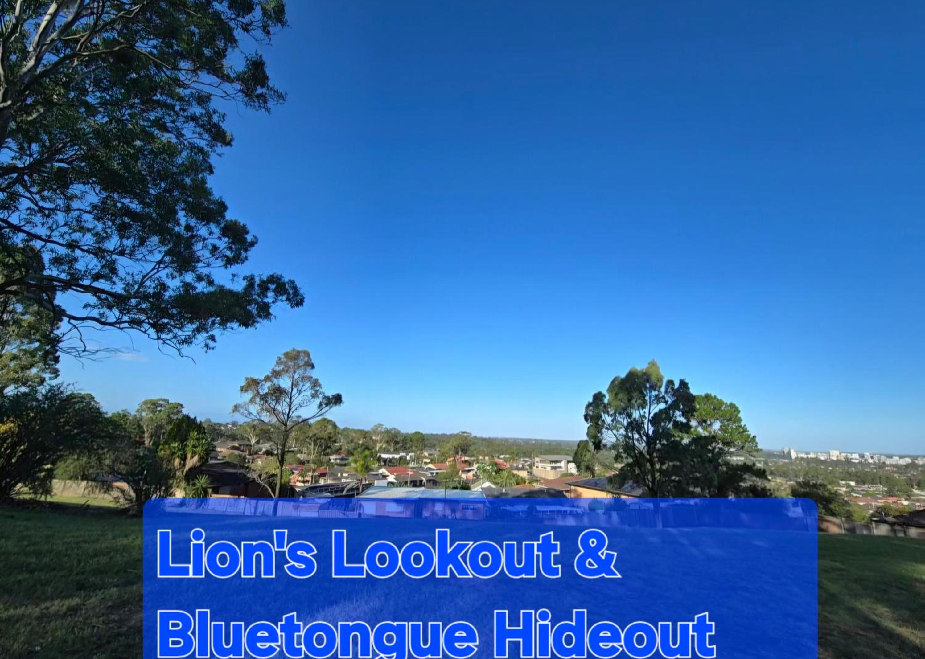 Bluetongue Hideout