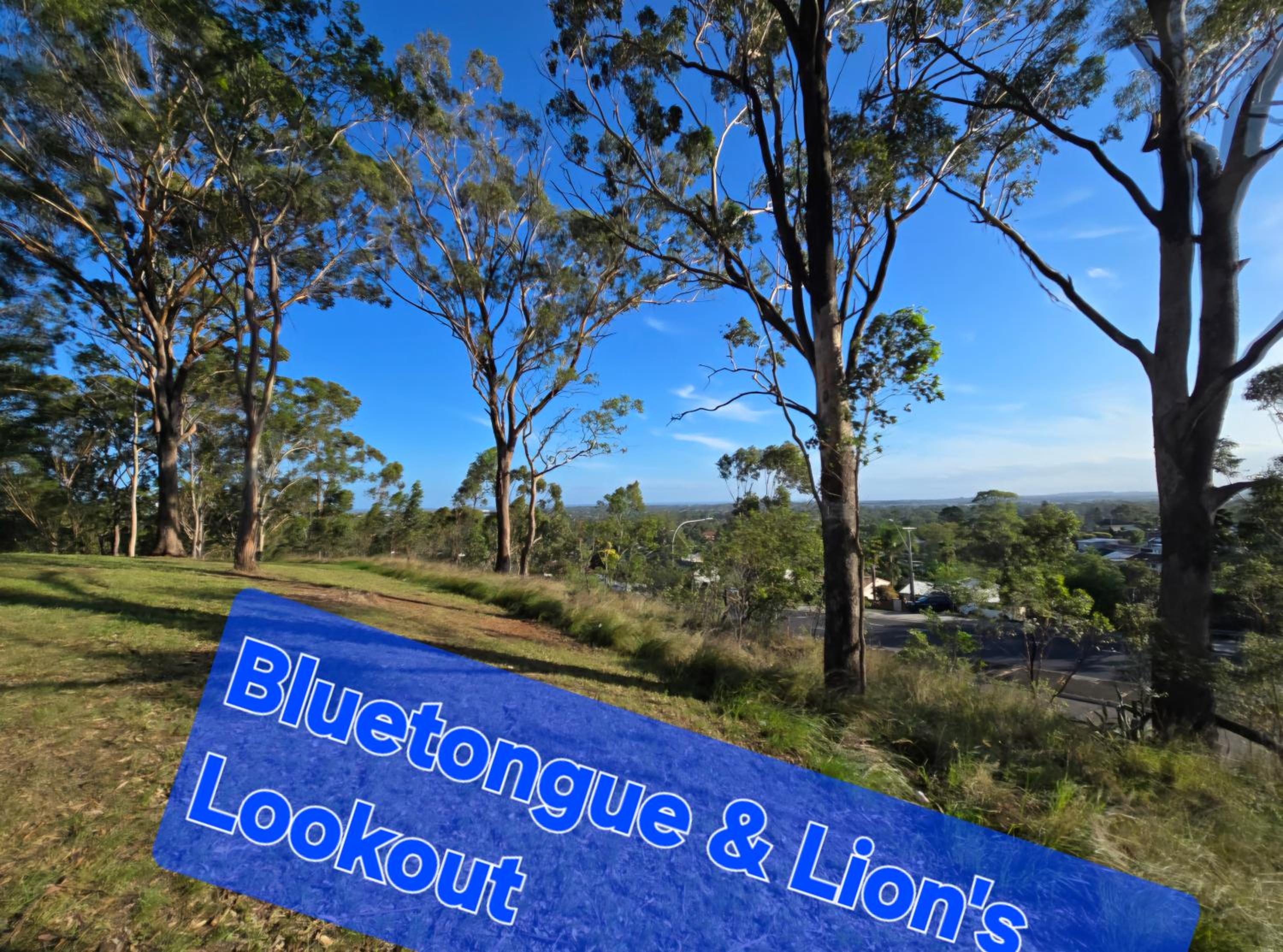 Bluetongue Hideout