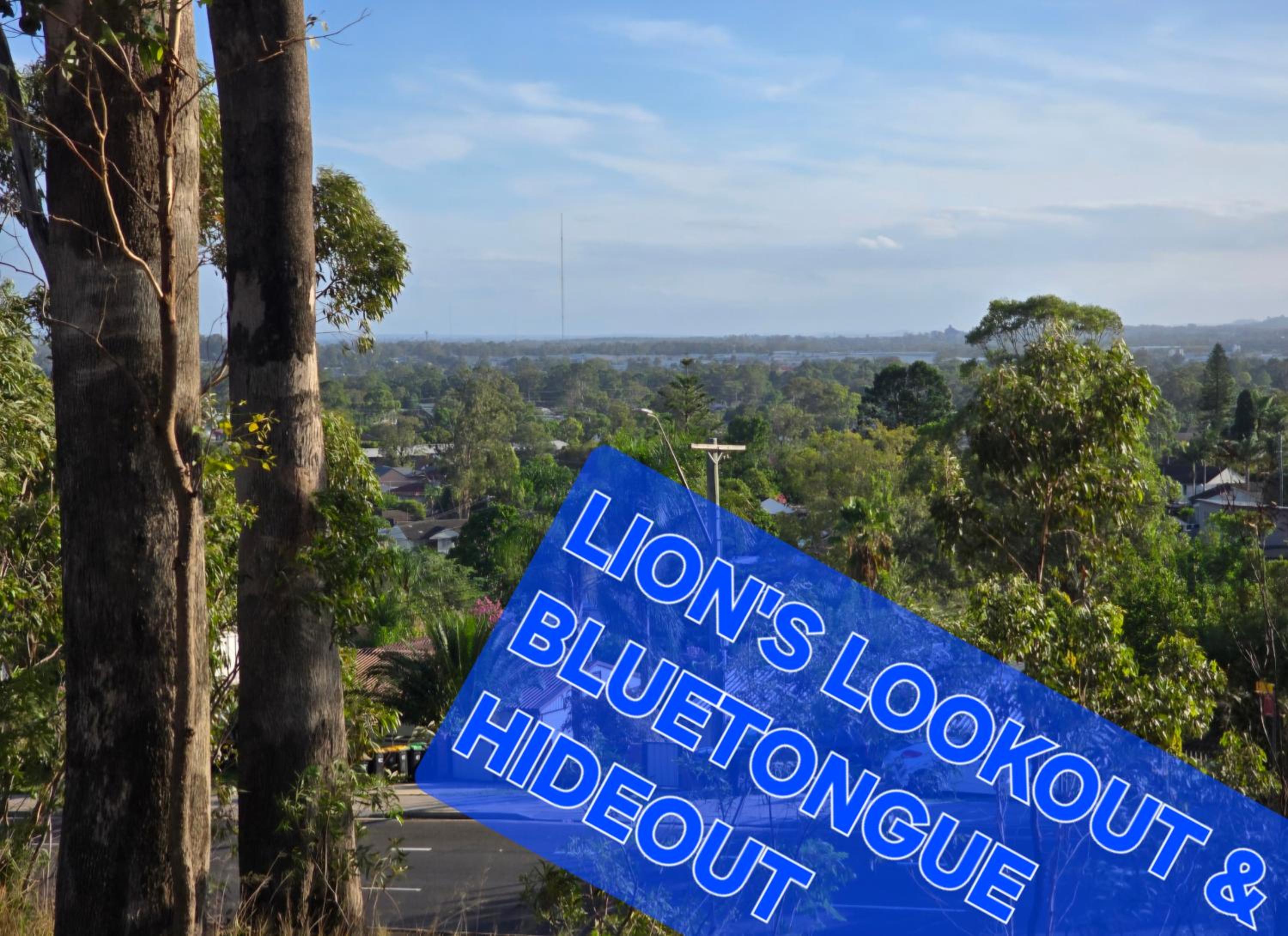 Bluetongue Hideout