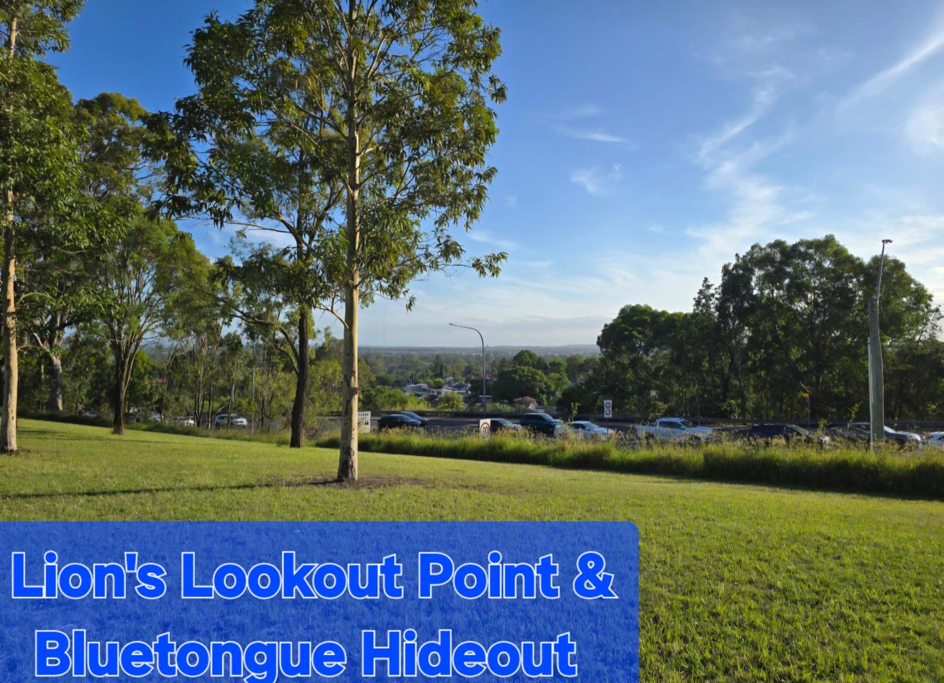 Bluetongue Hideout