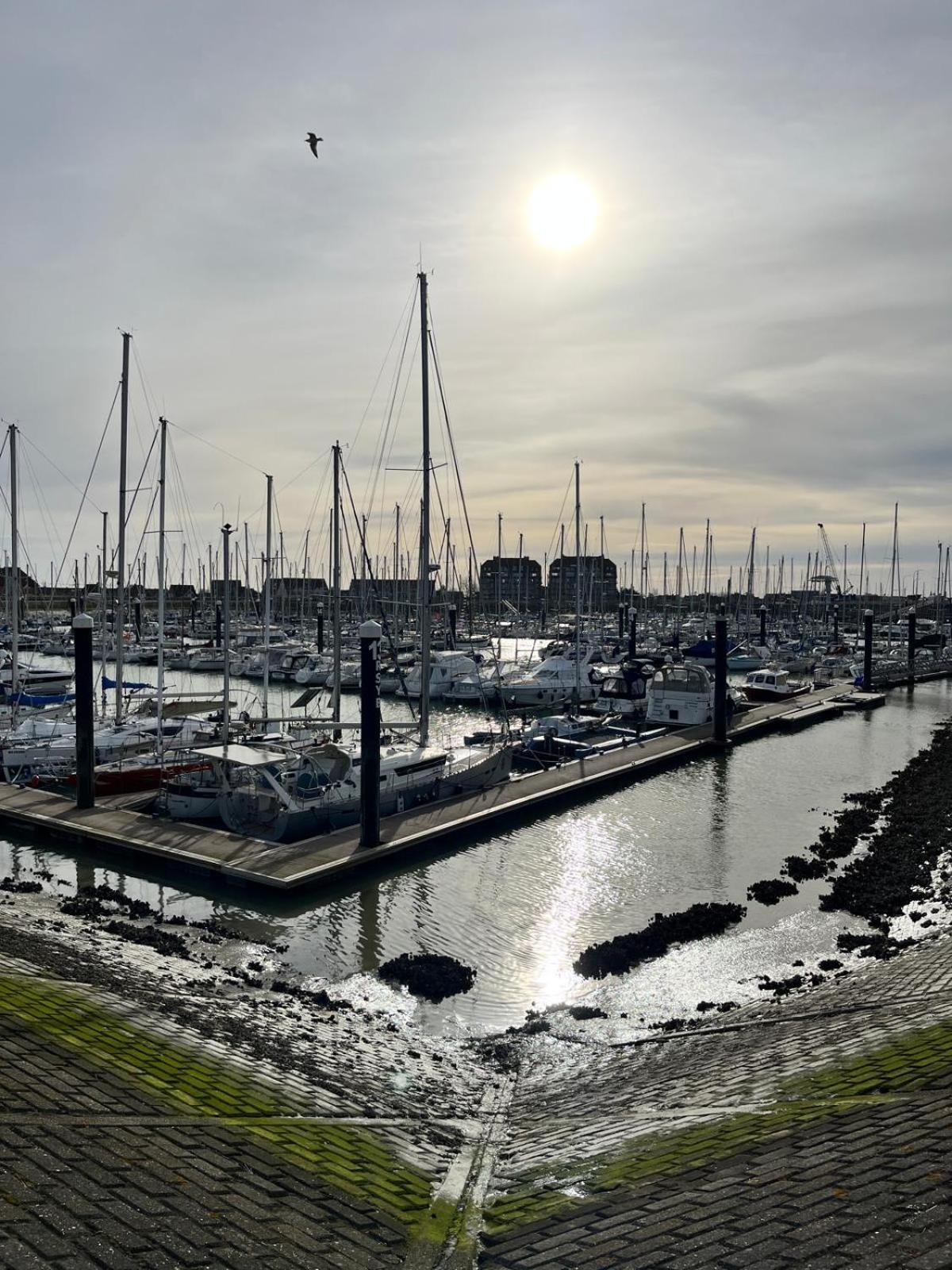 Harbor Bliss