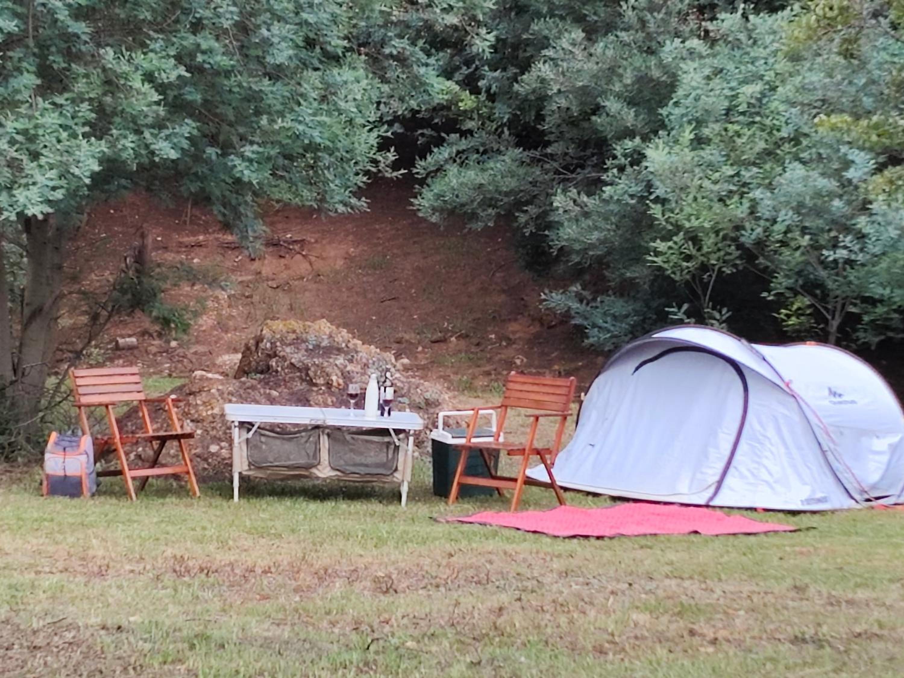 CradleLicious camp & caravan