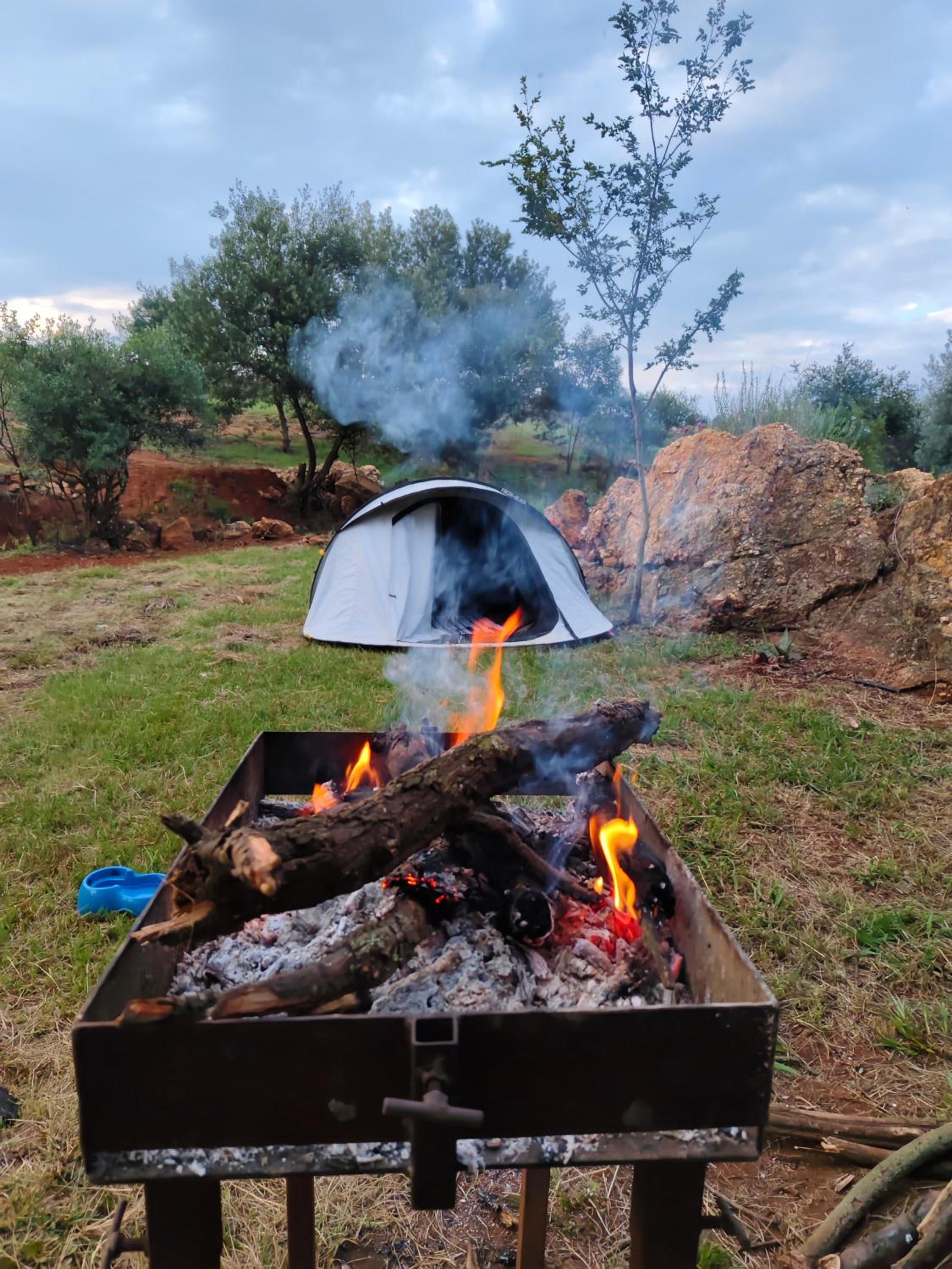 CradleLicious camp & caravan