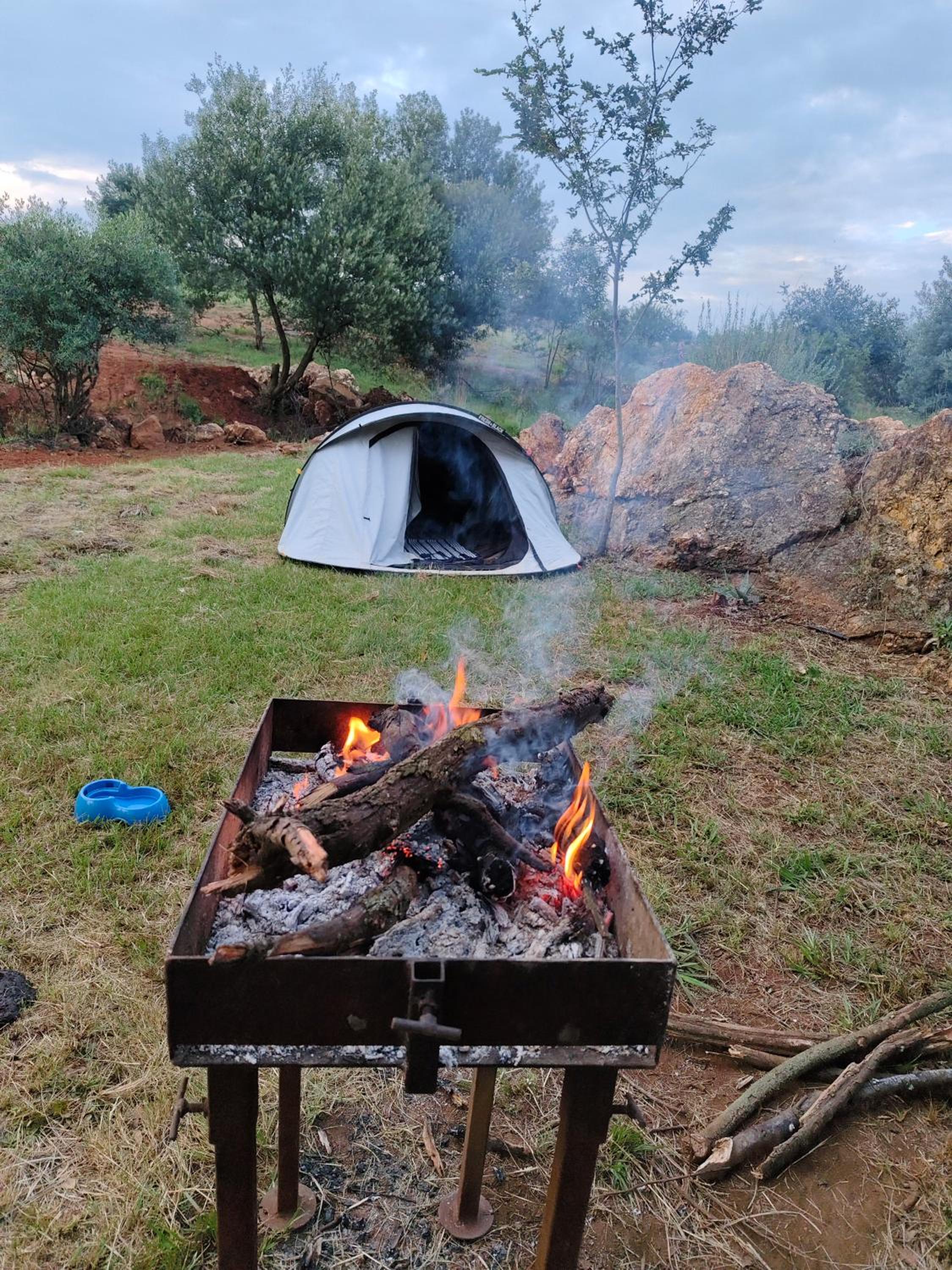 CradleLicious camp & caravan